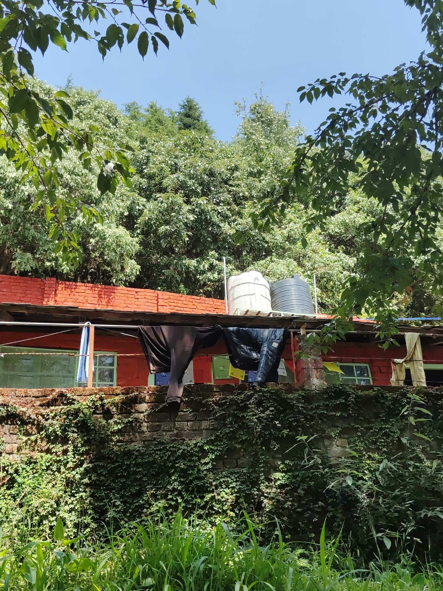 The image shows a red building with a brick facade, partially covered in green vegetation, likely located in a rural setting based on the surrounding trees and foliage. Clothes are hanging on a line in front of the building, and two water tanks are visible on the roof. The scene appears to be in a state of neglect, with overgrown vegetation and weathered building materials. The location in Haini, India cannot be confirmed based on the image alone, as it lacks specific landmarks or identifiers.