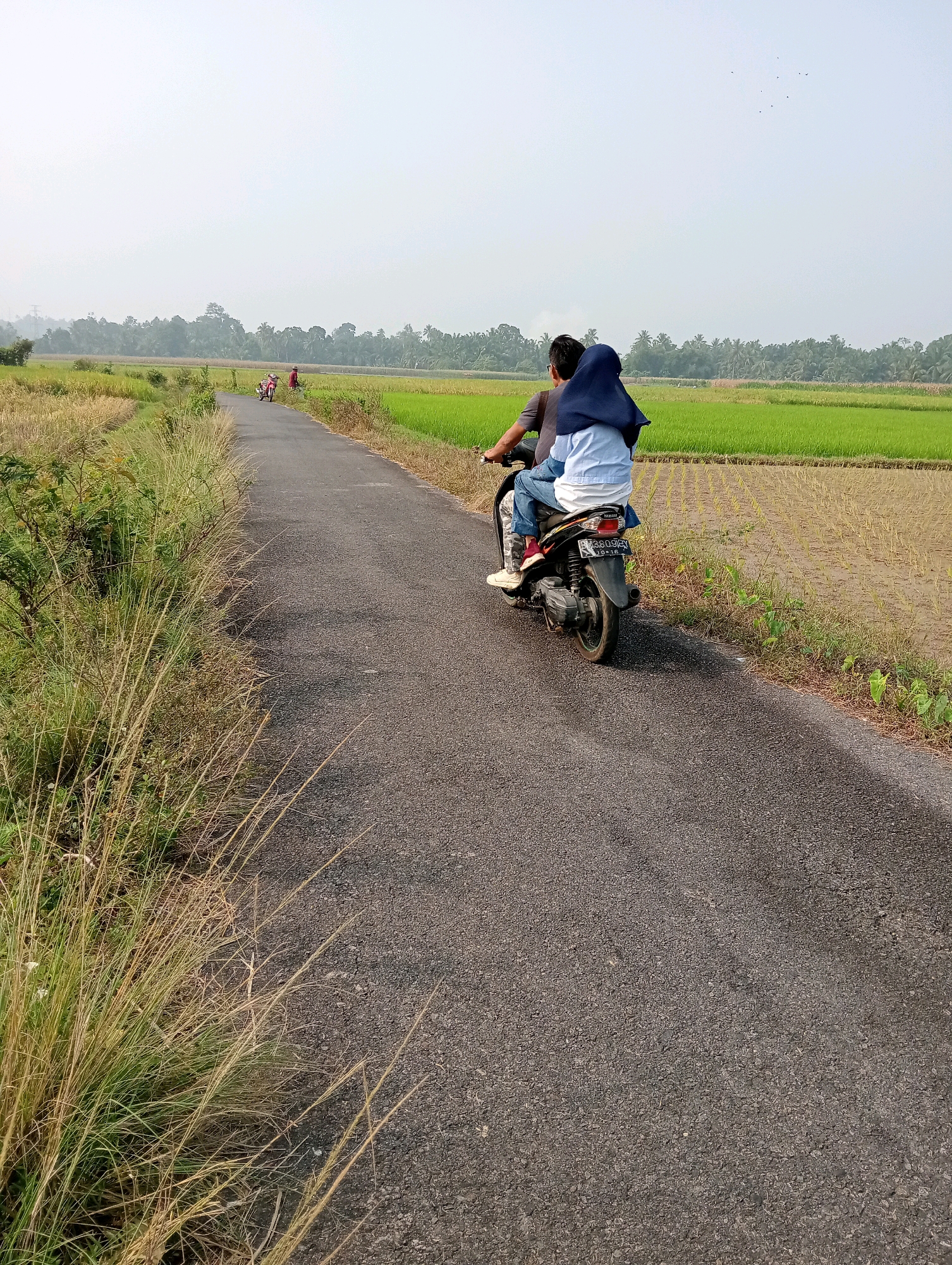 The image shows two people riding a motorcycle on a paved road. The person in front is wearing a grey t-shirt and the person behind is wearing a blue hijab and a light blue shirt. The motorcycle is black and has a license plate that reads "B 3809 GEB". The road is flanked by tall grass on the left and a rice field on the right. In the background, there is a line of trees and a hazy sky. The scene appears to be in a rural area. The image was taken in Campago, Indonesia.