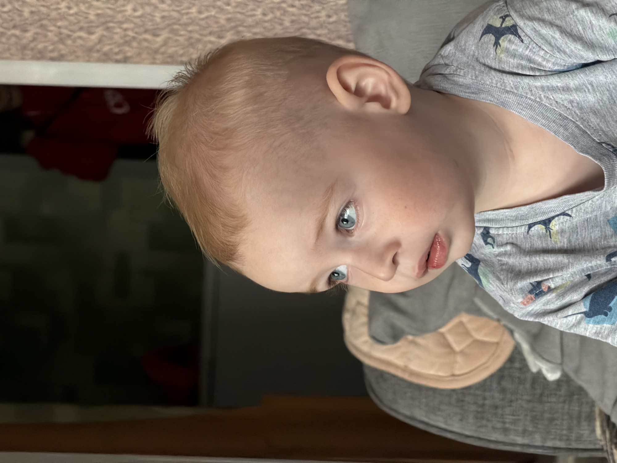 The image is a close-up, profile view of a young child with light blonde hair and blue eyes. The child is wearing a grey t-shirt with a pattern of what appear to be stylized dinosaurs. The child is looking to the left of the frame with an attentive expression. The background is blurred, but suggests an indoor setting with a textured wall to the right and a dark area to the left that might be a doorway or window. A portion of a grey sofa with a light-colored pillow is visible on the left side of the frame. The image does not contain enough information to determine a specific location in the city of Уральское, Russia.