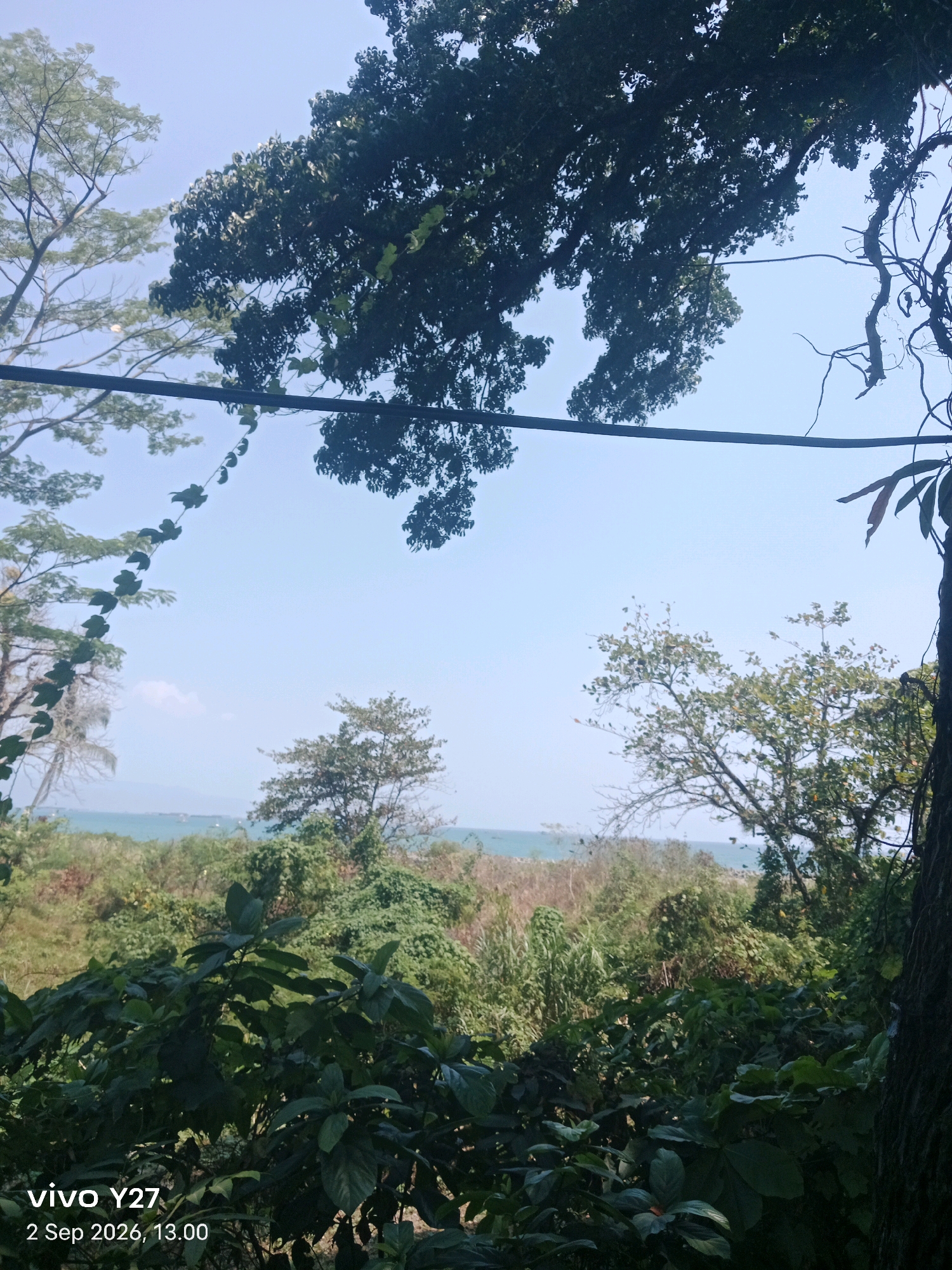 This is a high-angle, medium shot of a natural scene taken from what appears to be a hillside overlooking a body of water, likely the Indian Ocean, near Palabuhanratu, Indonesia. The foreground is dominated by lush, dark green foliage, including large leaves and vines, creating a dense canopy. The middle ground reveals a landscape of trees and vegetation, with some dry grass and thinner trees. In the distance, a hazy blue body of water stretches to the horizon, with what appear to be boats or distant landmasses visible. The sky is a clear, pale blue. The image appears to have been captured by a mobile device, indicated by the "vivo Y27" watermark and the date "2 Sep 2026, 13:00". There are no people or animals visible in the scene. The overall impression is one of natural, slightly wild, coastal vegetation.
