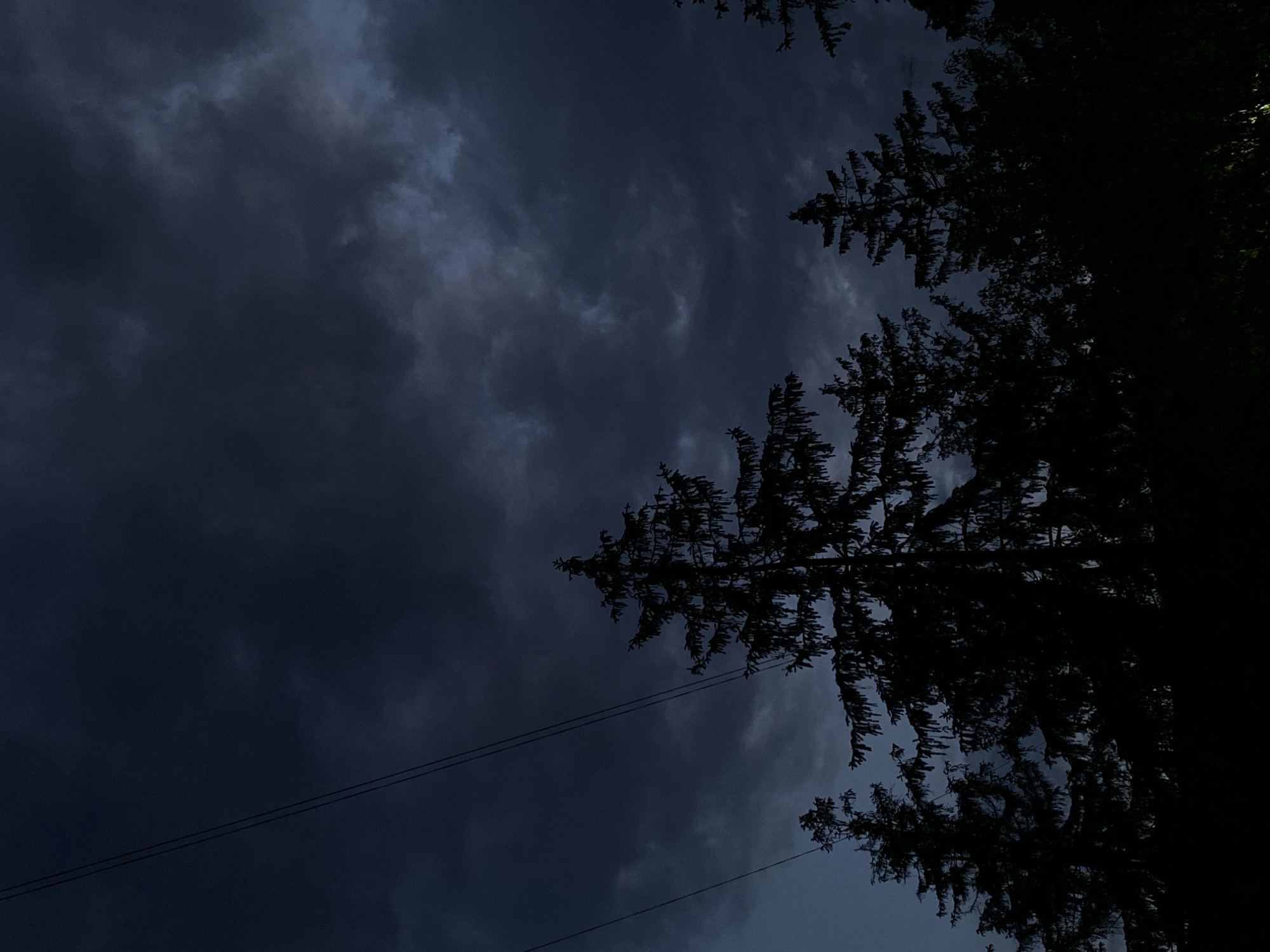 The image depicts a dark and cloudy sky in Unknown, Unknown. Silhouetted trees are visible in the right portion of the frame. Two thin parallel lines of what seem to be electrical wires cross through the left portion of the image. The darkness and cloud cover suggest it is nighttime or nearing dusk.