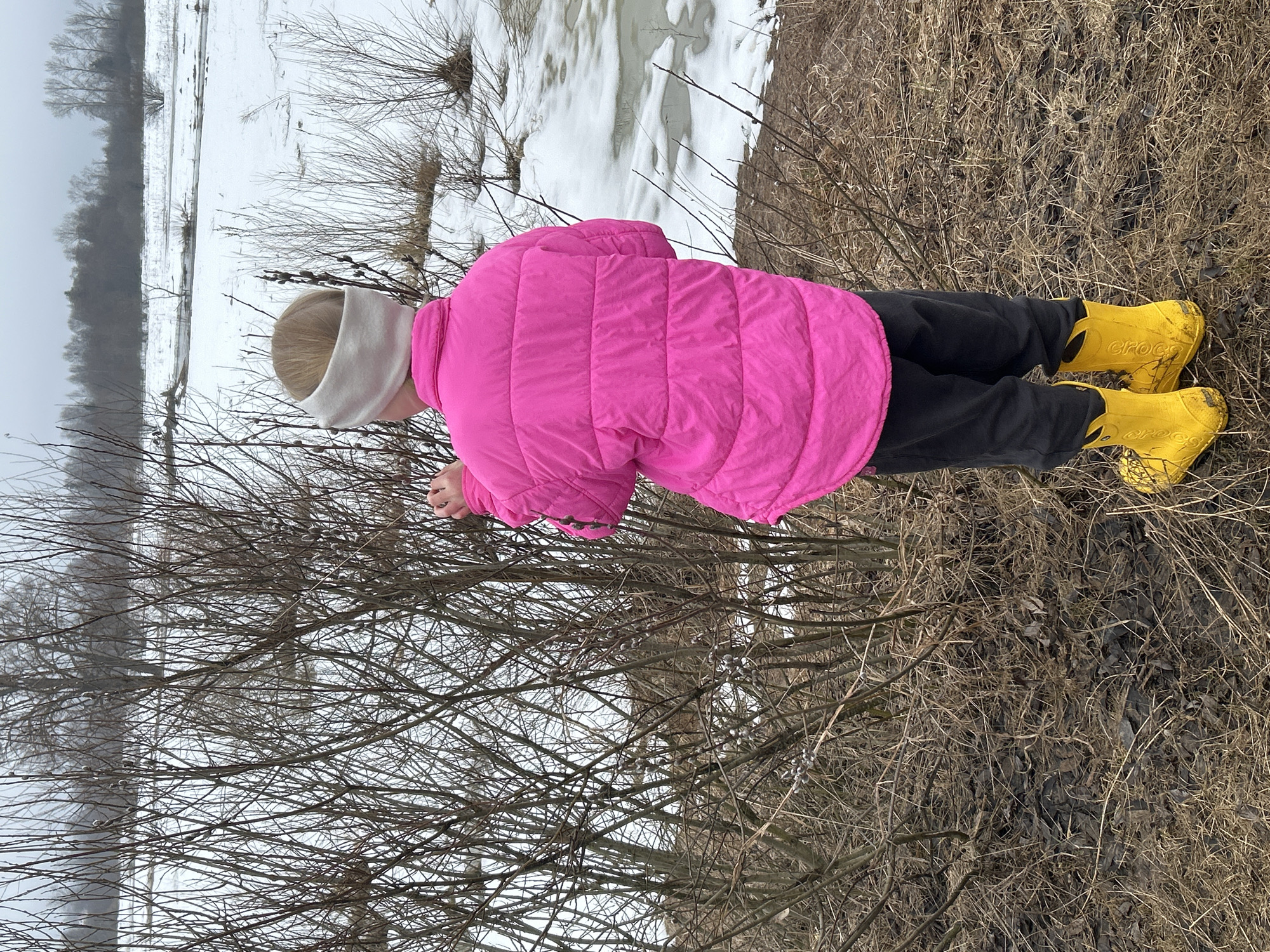 A person wearing a pink puffer jacket, dark pants, a light-colored headband, and yellow Crocs stands near a thicket of bare branches. The ground around them is covered in dry grass and leaves. In the background, there is a snow-covered area with bare trees in the distance, suggesting it's a wetland or flooded area. The overcast sky indicates it may be late fall, winter, or early spring. The location is Уральское, Russia.