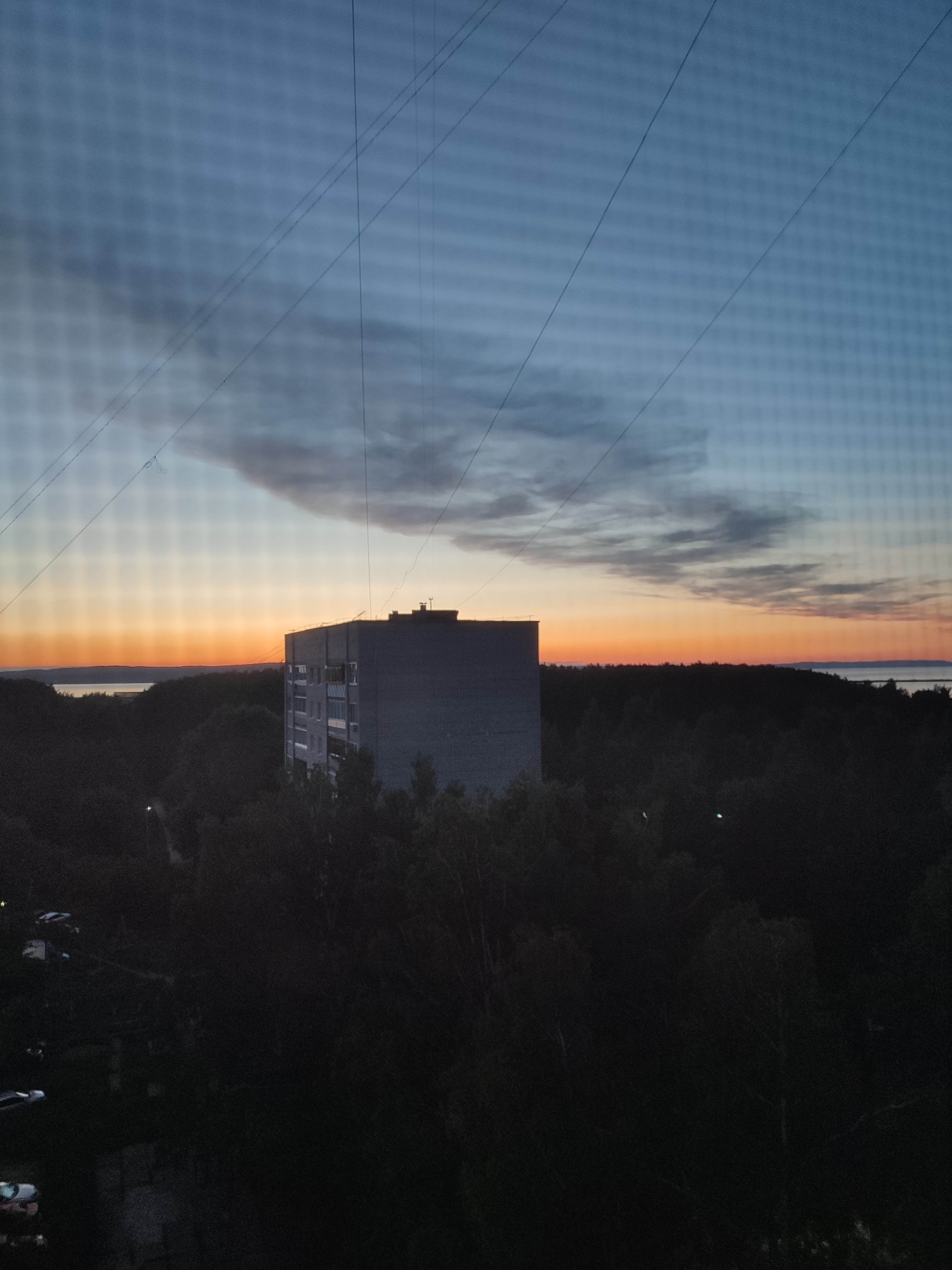 The image presents a serene twilight landscape, likely viewed from an elevated position such as a window or balcony. A distinct grid pattern, suggesting a screen or mesh, overlays the entire photograph, along with several thin, dark wires or strings that crisscross diagonally from the upper left to the lower right.
The sky transitions from a deep blue-grey at the top, featuring scattered clouds, to a vibrant orange and yellow gradient at the horizon, indicating either sunrise or sunset. A prominent, elongated cloud stretches across the upper left sky.
In the midground, a large, rectangular, grey multi-story building stands surrounded by a dense canopy of dark trees and foliage. Some windows are visible on the building's side. Beyond the treeline, a calm body of water, likely a lake or a wide river, stretches across the horizon, reflecting the soft hues of the sky. A faint strip of land is discernible on the far bank of the water.
The lower half of the image is dominated by the dark silhouettes of numerous trees and bushes, appearing almost black in the low light. Within this dark expanse, a few faint, distant light sources, possibly streetlights or vehicle lights, can be observed. The overall atmosphere is tranquil and contemplative, capturing the quiet transition of day into night over a landscape blending natural elements with urban structures. No specific activities or visible text are present.
