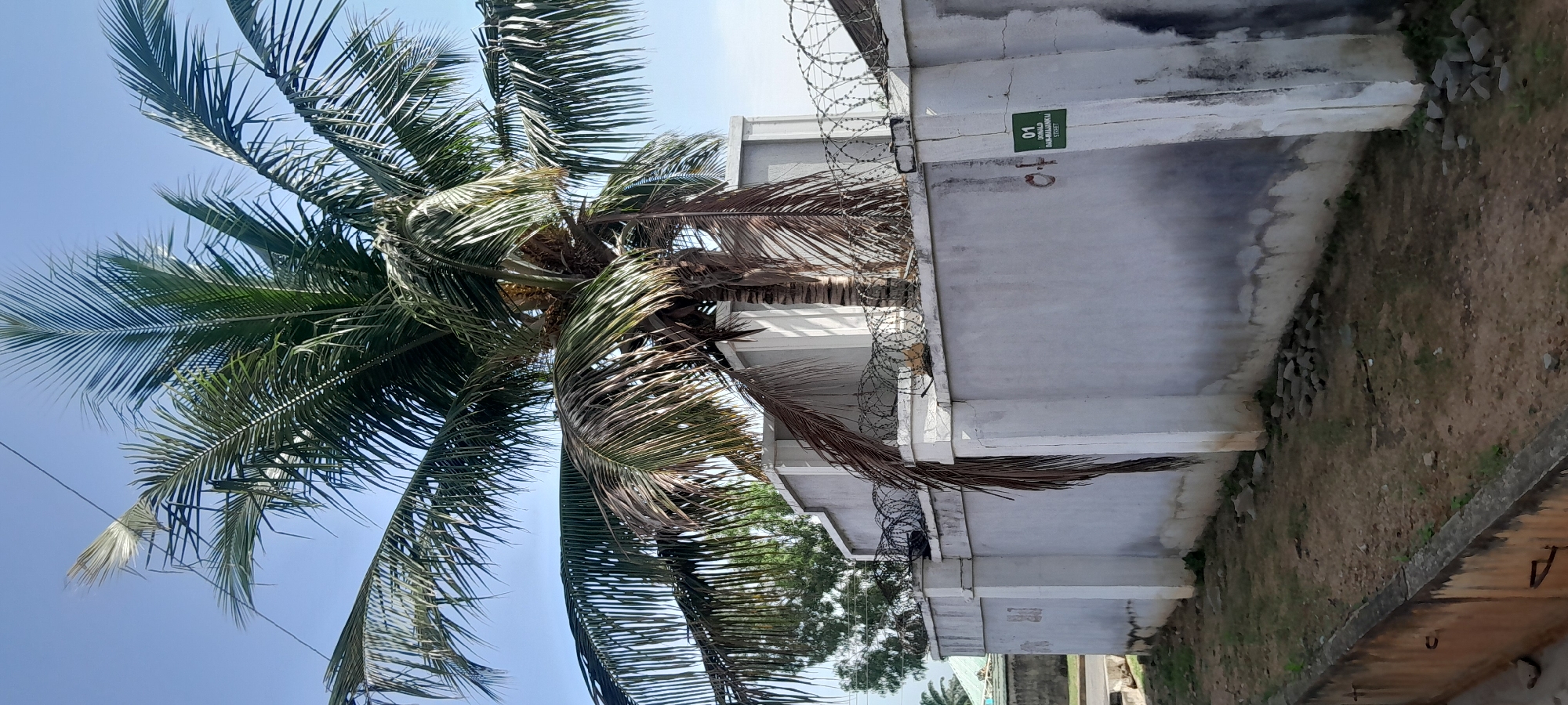 The image shows a street view in Jalingo, Nigeria. A tall coconut tree with green and brown fronds dominates the foreground, casting a shadow on a white, weathered concrete wall. The wall is topped with barbed wire. A green sign with white lettering reading "01 DONALD DAN-MALAMAKAI STREET" is affixed to the wall. The ground is covered with dirt, sparse grass, and small stones. In the background, a portion of a building with a light-colored roof is visible, along with other trees and a clear blue sky. The scene appears to be an exterior shot of a residential or commercial property.