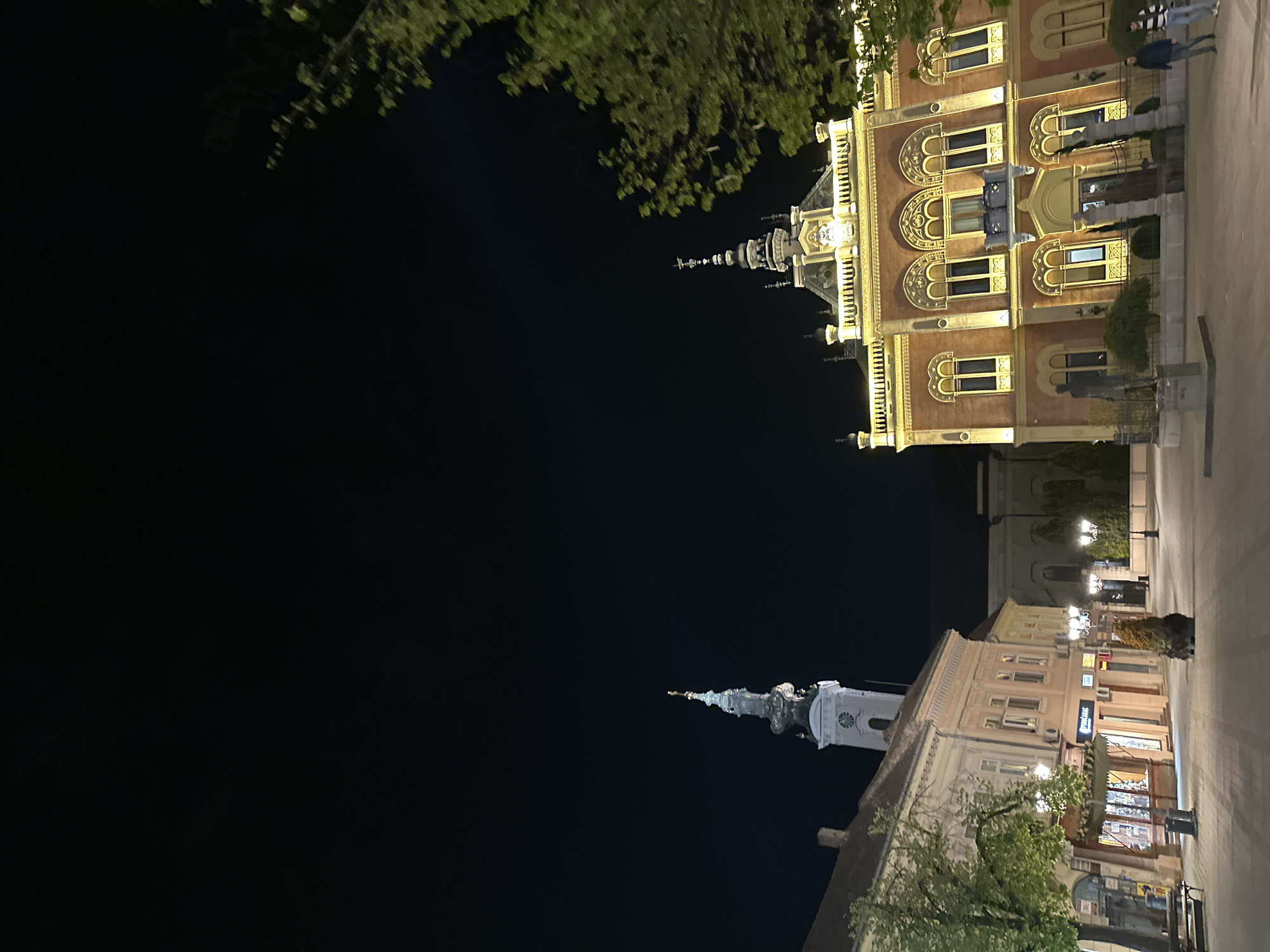 The image shows a night scene in Novi Sad, Serbia. The Old Town Hall, illuminated, stands on the right side of the frame, along with the adjacent sidewalk where several people are walking. In the lower center is the spire of the Name of Mary Church. The rest of the image is the night sky, partially obscured by tree branches.