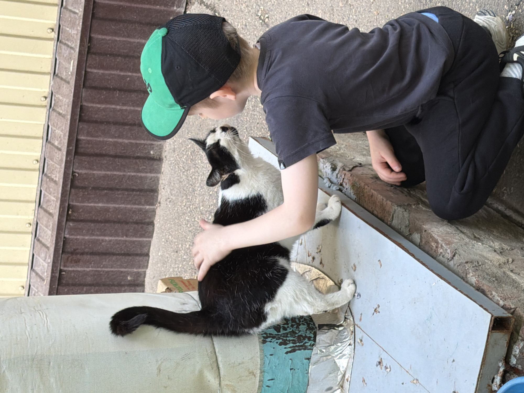 A young person wearing a green and black baseball cap, a gray t-shirt, and black pants is kneeling on a tiled surface, petting a black and white cat. The cat is sitting on what appears to be a covered surface, potentially a pipe or other cylindrical object. The scene takes place outdoors, next to a metal wall with horizontal panels and a brick-edged surface. This photo takes place within the city of Beryozovy, Russia.
