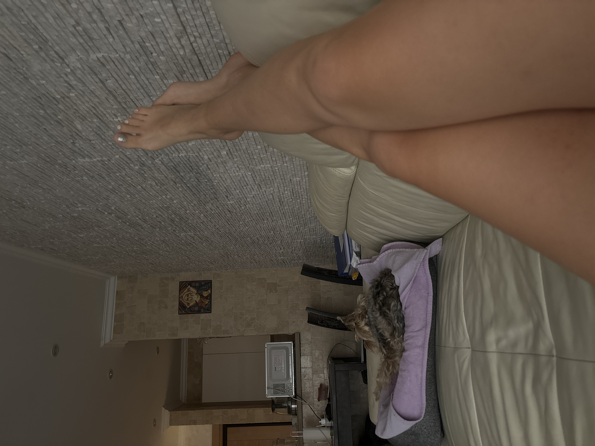 The image shows a person's legs crossed and resting on a light-colored sofa in an interior setting. A small dog is lying on a purple blanket on the same sofa. In the background, there is a textured wall, a microwave oven on a counter, and two chairs. The overall impression is a relaxed domestic scene. The location in Budva, Montenegro cannot be determined from the image itself.