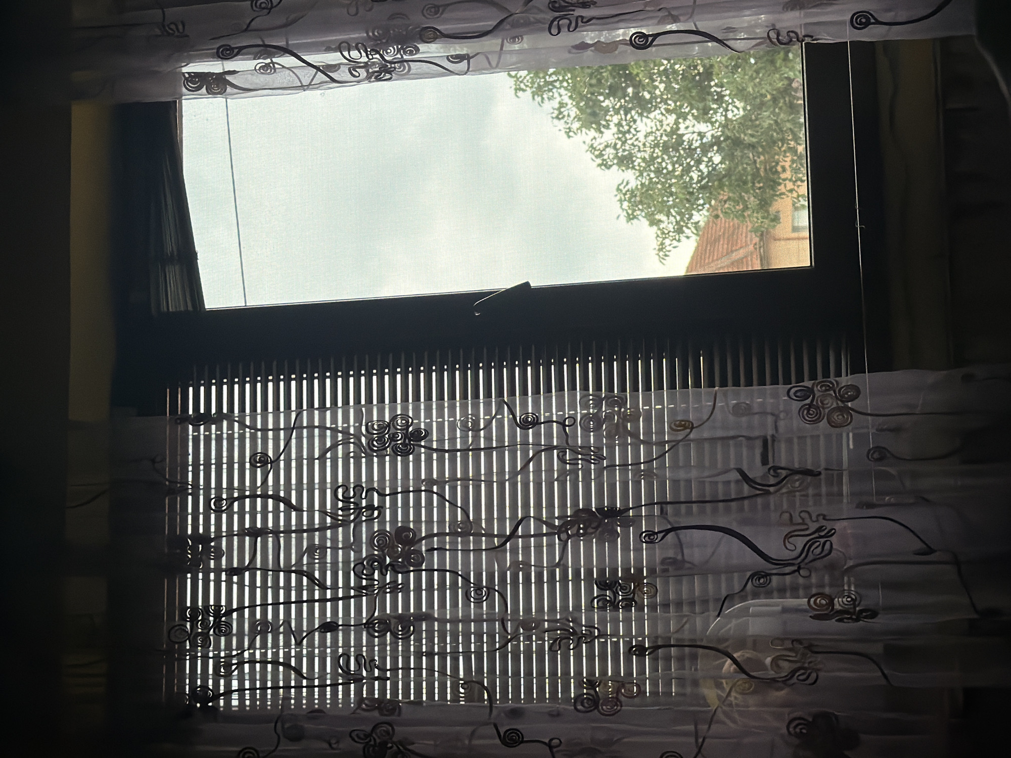 The photograph captures an indoor view looking out through a window in Iskar, Bulgaria. The interior appears dimly lit, contrasting sharply with the bright, overcast sky visible outside the upper windowpane. A dark window frame with a central handle defines the opening.
Vertical blinds cover the lower window, creating distinct linear light and shadow patterns on a sheer, translucent curtain layered in front of them. This curtain features a decorative pattern of dark, swirling, organic motifs.
Beyond the window, the sky is uniformly bright and cloudy, suggesting an overcast daytime. A tree with green leaves is visible in the upper right, partly obscuring a building with a reddish-brown tiled roof, a detail consistent with regional architecture. No people, activities, or visible text are present in the image. The scene is static, highlighting the interplay of light and shadow from the window treatments against the diffused light of the exterior.