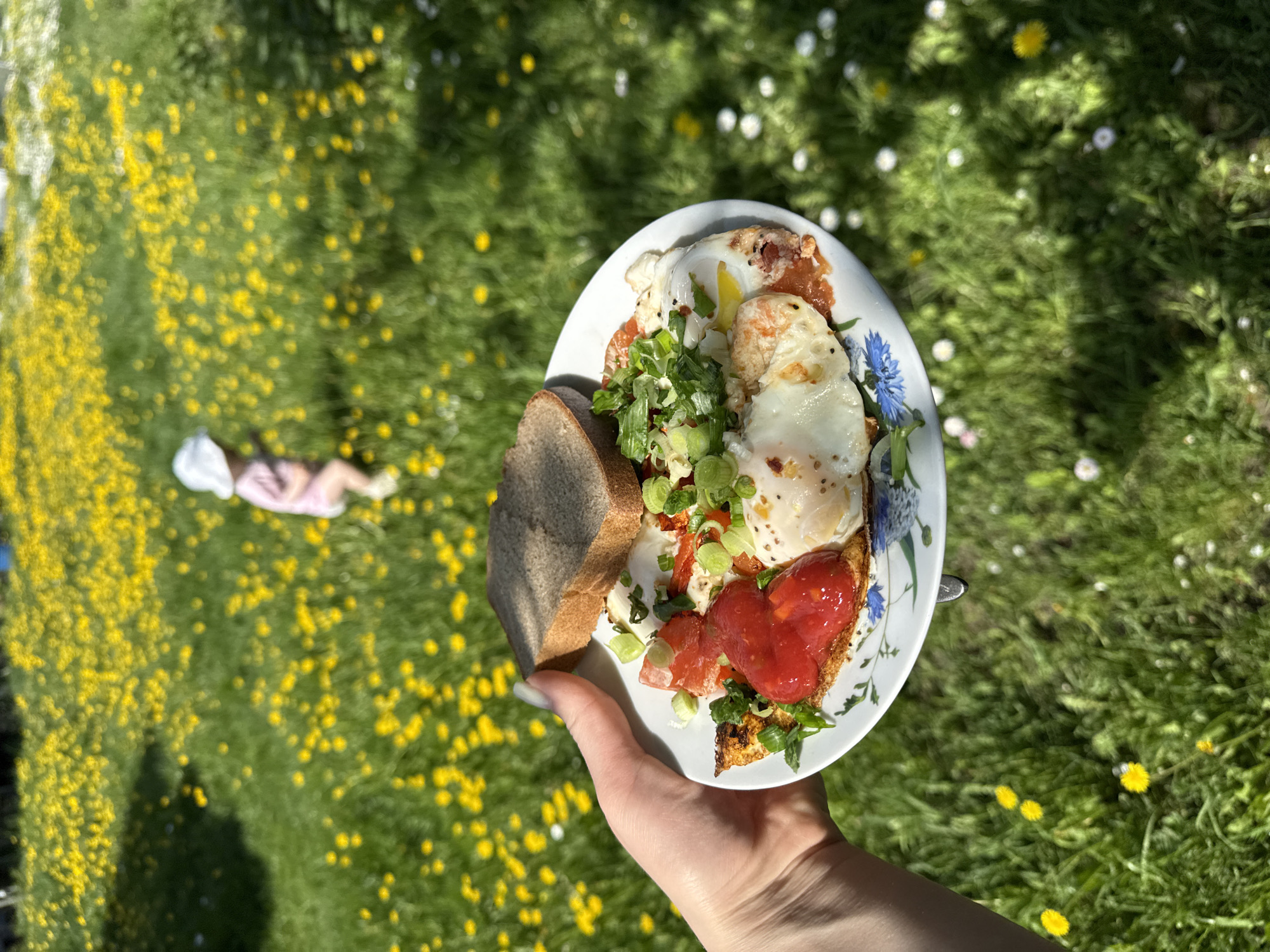 A fair-skinned person holds a plate of food in Красный Маяк, Russia. The plate contains a slice of dark bread, fried eggs, tomato, and green onions, and is decorated with blue flower patterns. The background is a grassy lawn with yellow and white wildflowers. A person lies on the grass in the distance.