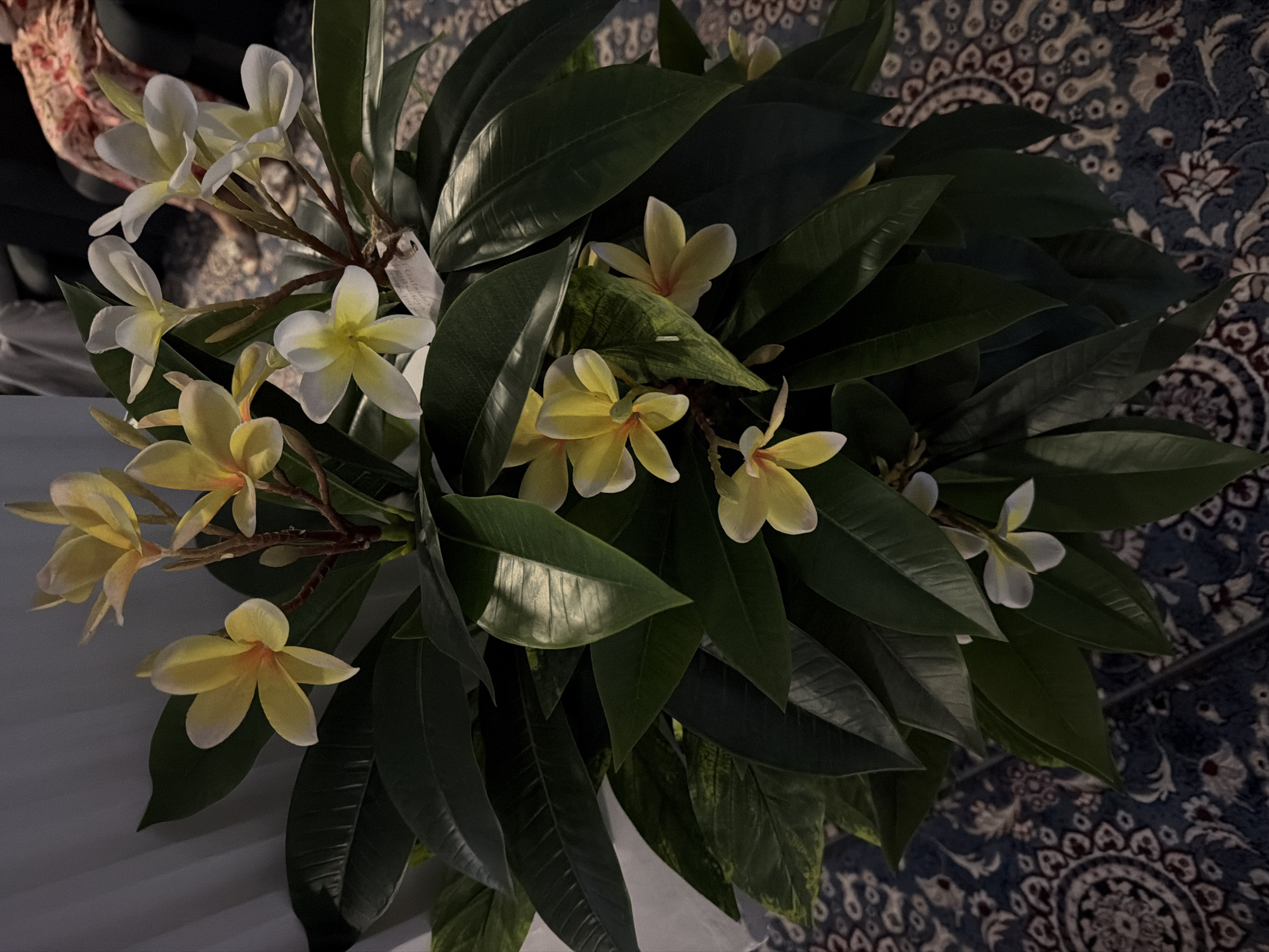 The image displays a potted plant with green leaves and white and yellow plumeria flowers. The plant is situated on a patterned carpet. In the background, a white curtain and a person in patterned clothing are visible. The scene appears to be indoors. There is no information in the image to determine the location within Khumsan, Uzbekistan.
