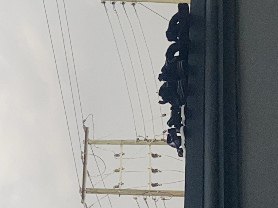 A stark image captures power lines with a wooden support structure stretching across a cloudy sky. Parallel wires run from the top of the frame toward a pole, lined with black objects, possibly shoes, hanging in a row. The pole is partially obscured by a gray surface, and the overall scene exhibits a somber tone due to the overcast lighting and the unusual sight of the hanging objects.
