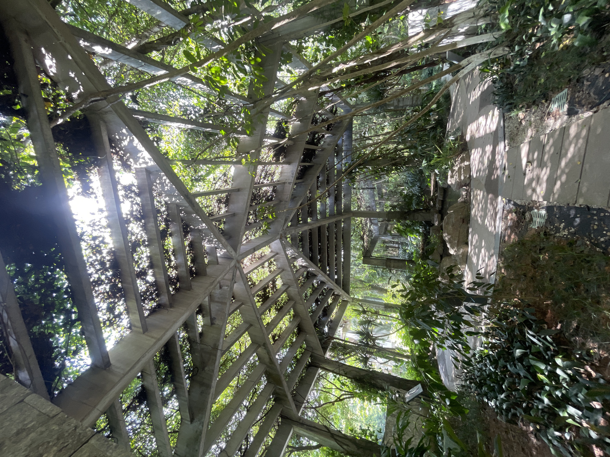 This image depicts an outdoor pavilion structure with a concrete frame covered in vines and foliage. The pavilion has a geometric, angular design, with beams supporting a roof of interwoven vegetation that allows dappled sunlight to filter through. The scene is set within a lush, green environment, suggesting a park or garden setting. In the foreground, there are stone pathways and various types of plants, including leafy bushes and slender trees. The overall impression is one of a tranquil, nature-integrated architectural space. The location is identified as Panyu District, China. There are no people visible in the image.