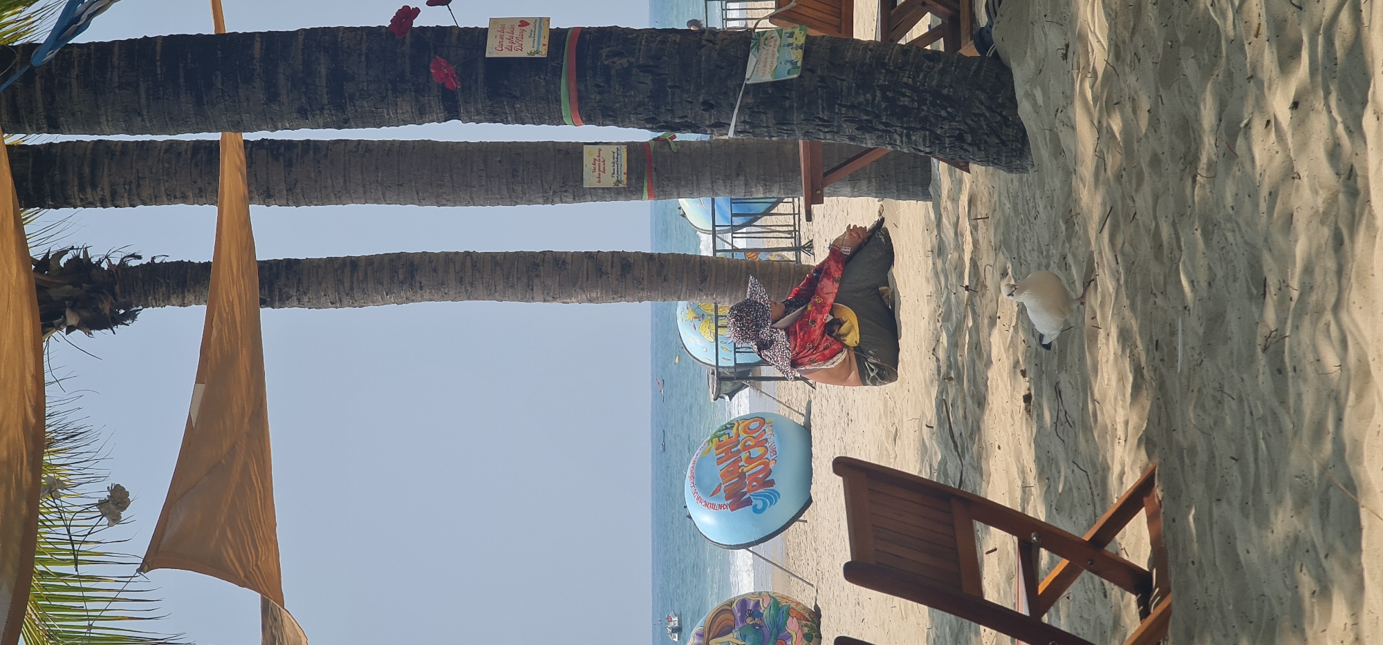 The image depicts a beach scene, likely in Đà Nẵng, Vietnam, judging by the signage on the trees and the general environment. Three tall, thin palm trees are positioned in the foreground, each with signs and ribbons attached to the trunks. A tanned cloth is draped between two of the trees. Under the shade of these trees, a woman is seated on the sand with her legs crossed, wearing a colorful hat, red jacket, and olive-green pants. There are painted flotation devices behind her. Next to her is a white bird. A partially visible wooden beach chair is near the lower right corner. The ocean and sky are visible in the background, with a few boats dotting the horizon. The sand appears light brown.