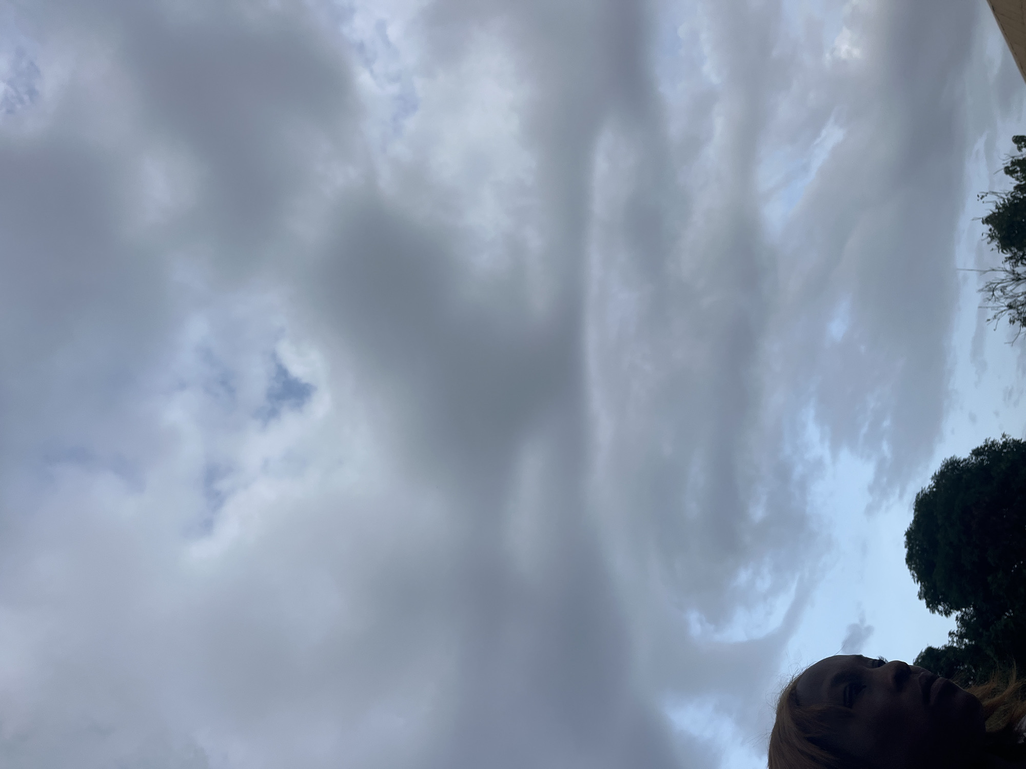 The image depicts an outdoor scene with a person's profile visible on the left side. The person has light brown hair and is looking to the left. The background consists of a cloudy sky with varying shades of gray and some patches of lighter blue. In the lower portion of the image, the dark silhouettes of trees and possibly a roof are visible. The lighting suggests it is either early morning or late afternoon, possibly before or after rain. The scene is set in Jos, Nigeria.