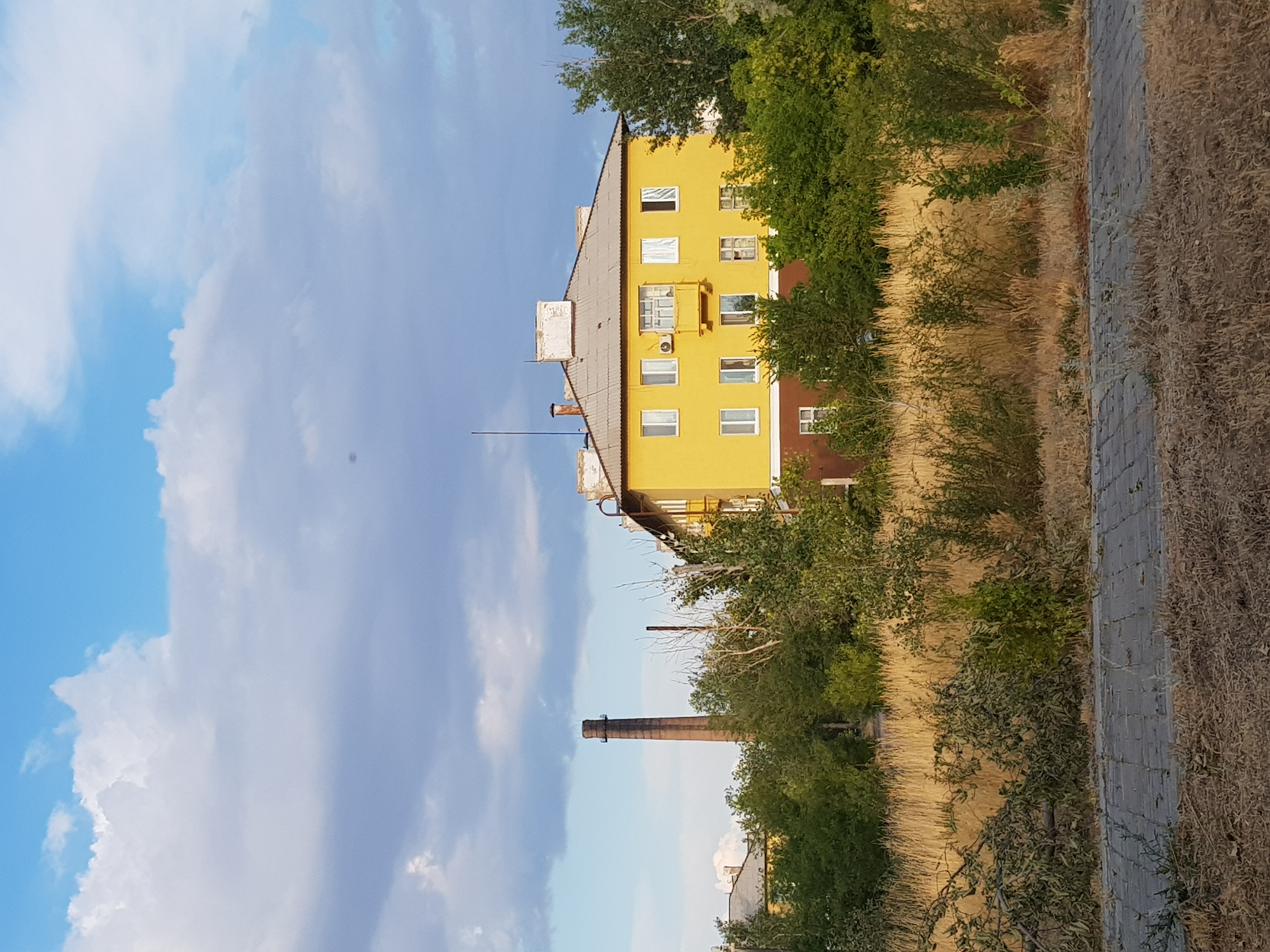 This is a photograph taken in the city of Kurchatov, Kazakhstan. The scene depicts a residential building with a yellow facade and a brown lower story, surrounded by lush green trees and dry, tall grass. A prominent brick chimney stands tall in the background to the left of the building, suggesting an industrial or older infrastructure presence. The sky above is blue with scattered white and grey clouds, indicating a daytime setting, possibly late afternoon given the lighting. In the foreground, a paved walkway or path made of grey interlocking bricks runs across the bottom of the image, bordered by dry grass and some fallen branches. The overall impression is one of a somewhat overgrown urban or semi-urban environment, with a mix of residential and possibly former industrial elements. There are no people visible in the image.
