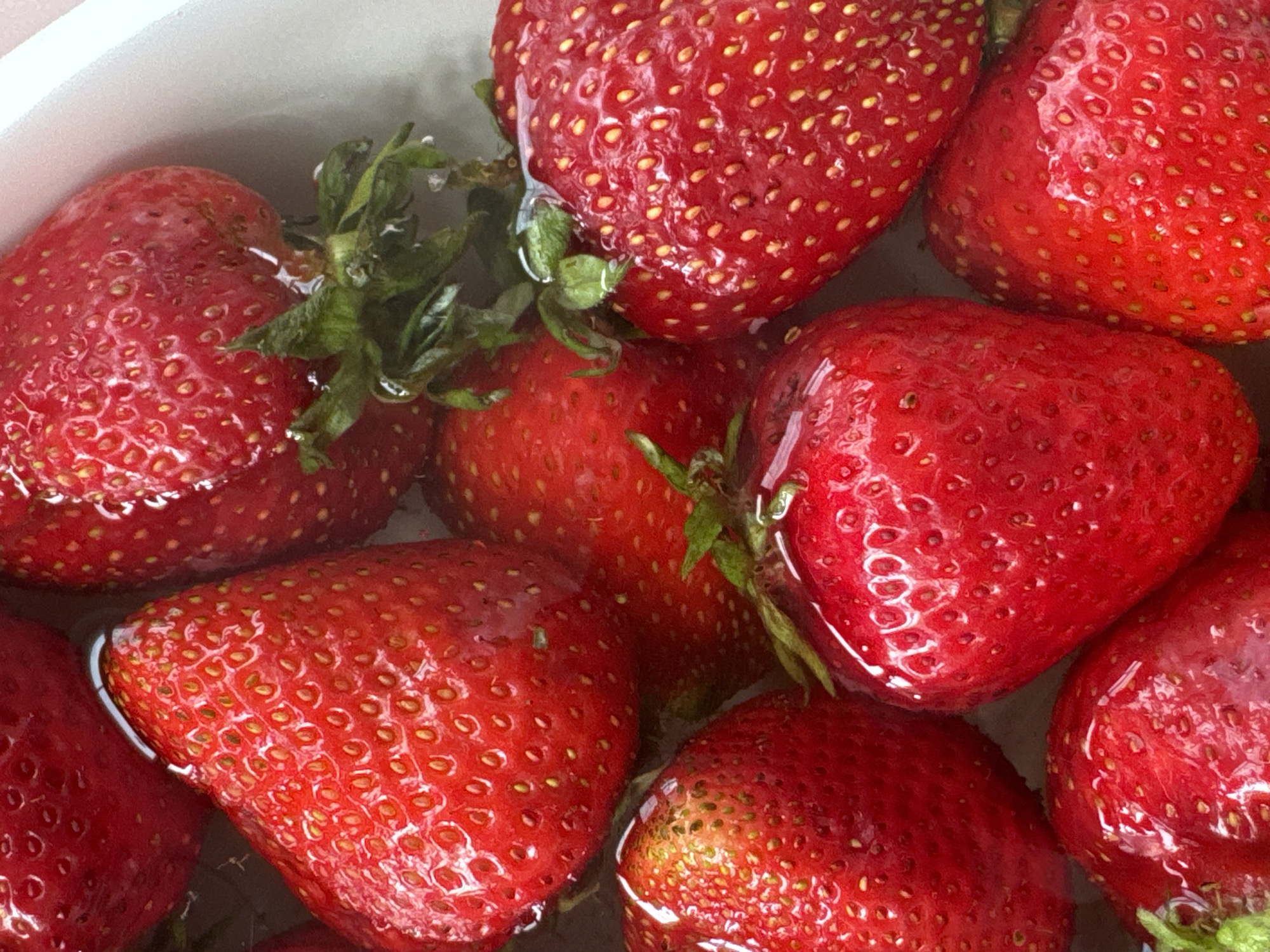 A close-up, overhead shot shows several ripe, red strawberries floating in water. The strawberries are bright red with small yellow seeds embedded in their flesh. Some have green stems attached. The water is clear, with a slight sheen reflecting the light. The scene is tightly cropped, focusing solely on the strawberries. There is no visible indication of location or context, and no people are present.