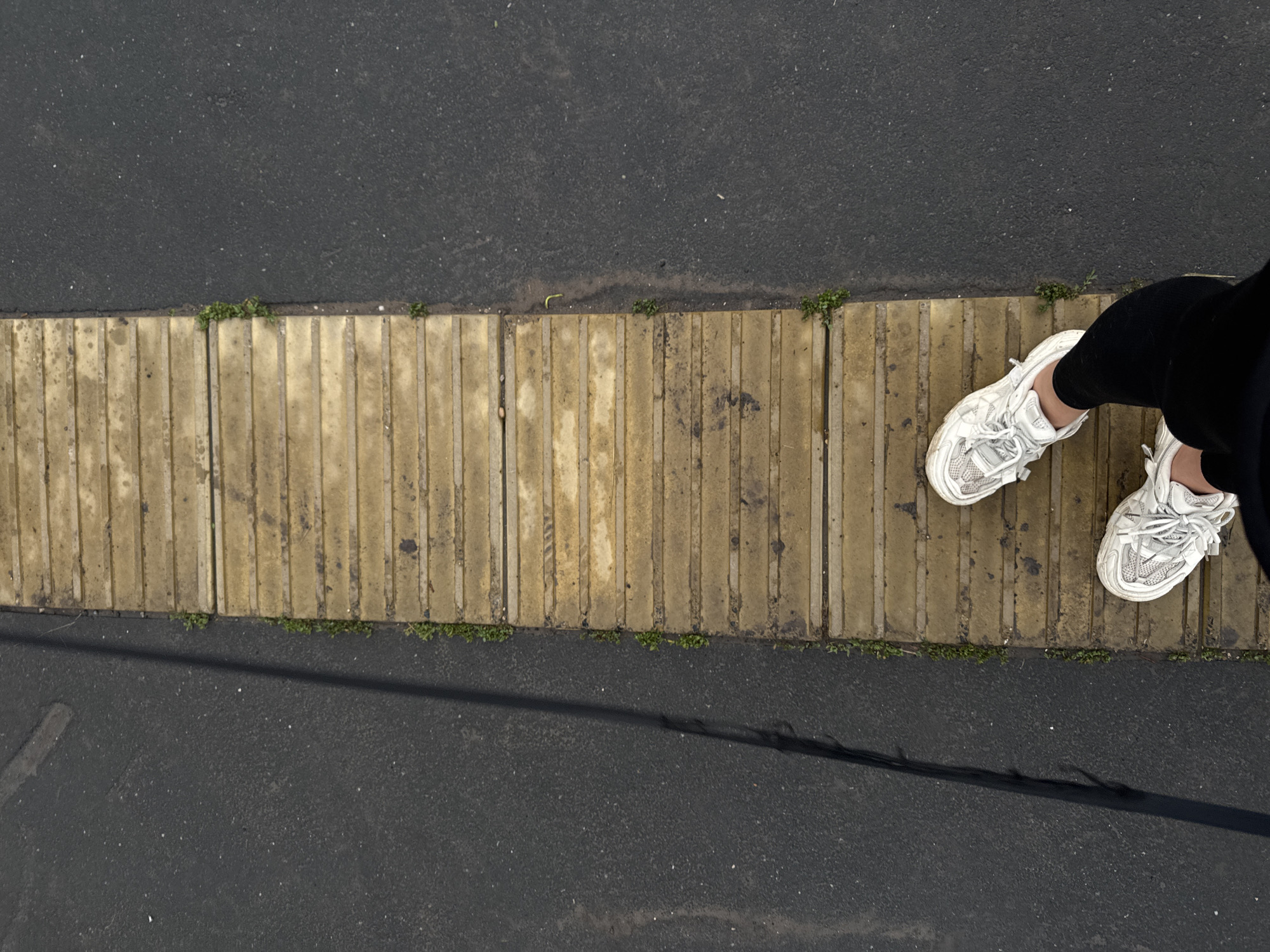A person's legs are visible, wearing white sneakers and black leggings, standing on a textured yellow tactile paving strip. The paving strip is adjacent to dark asphalt, with a thin line of green weeds growing between the two surfaces. A faint shadow stretches across the asphalt. The image appears to be taken from a high angle, looking down at the ground. The scene is consistent with a pedestrian crossing or walkway in Tolyatti, Russia.