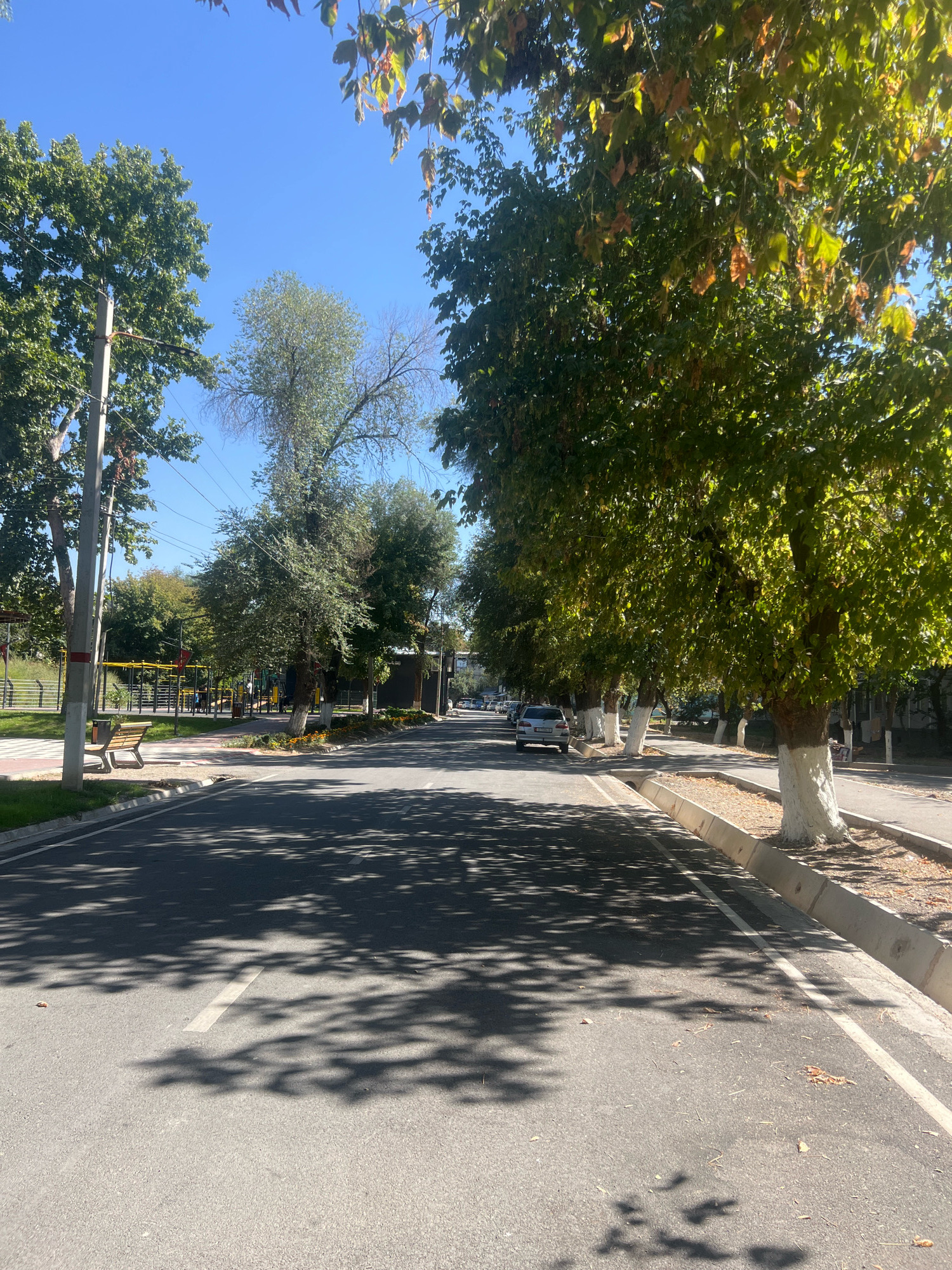 The image depicts a street scene in Osh City, Kyrgyzstan, on a sunny day. The perspective is from the middle of an asphalt road, looking forward. On the left side of the road, there is a sidewalk with a park bench and some playground equipment visible in the background. Mature trees with green leaves line the right side of the road, their trunks painted white. Sunlight filters through the leaves, casting dappled shadows on the road. Several cars are parked along the right side of the street, further down. The sky is clear blue.