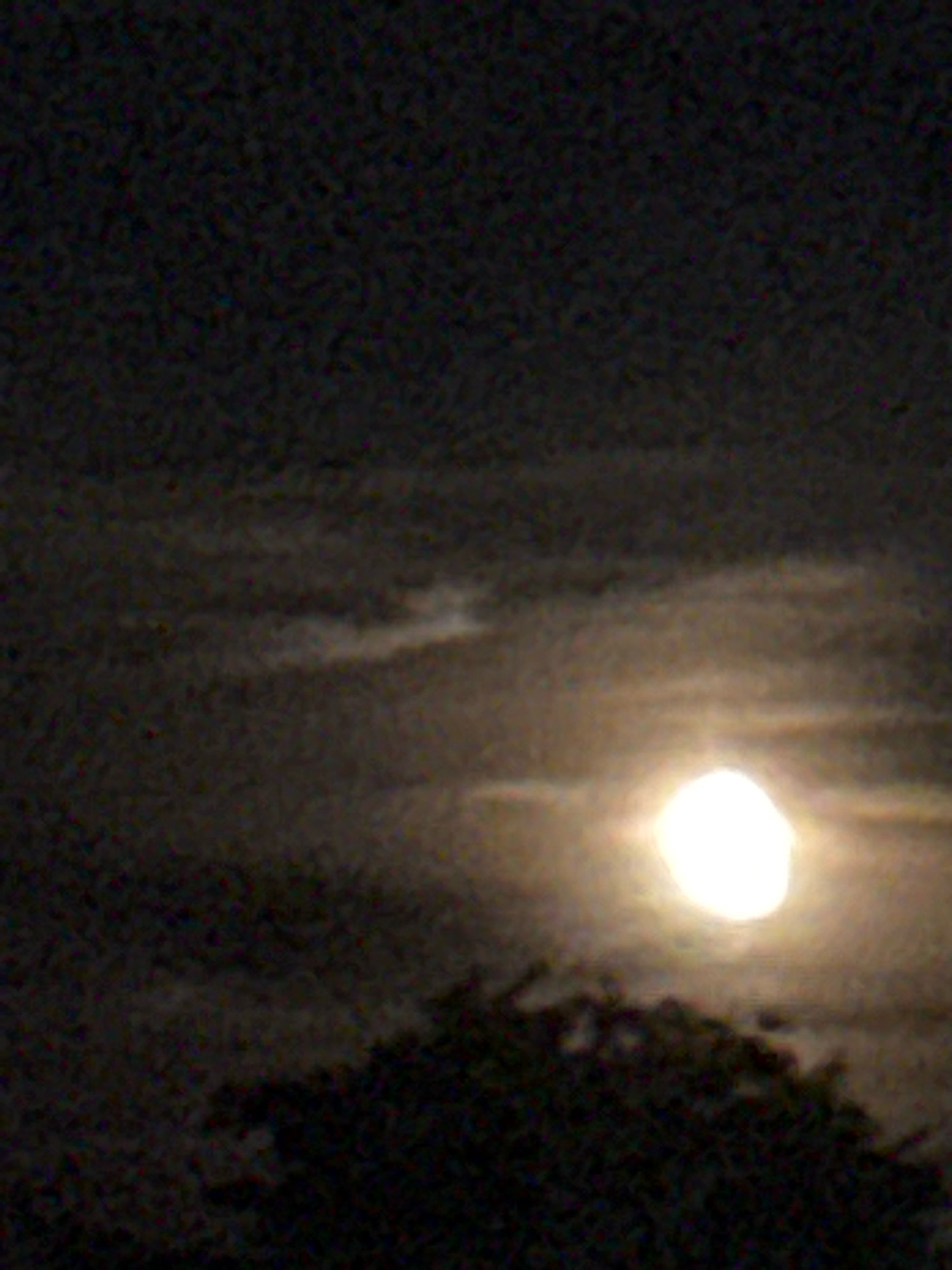 A full moon is visible in a dark sky with some clouds, appearing to the right of center. Below the moon, the dark silhouette of trees is visible against the moonlight. The image is grainy and low resolution, making specific details difficult to discern. There are no people or other objects clearly identifiable in the scene. The image does not provide any information about a specific location within Waiblingen, Germany.