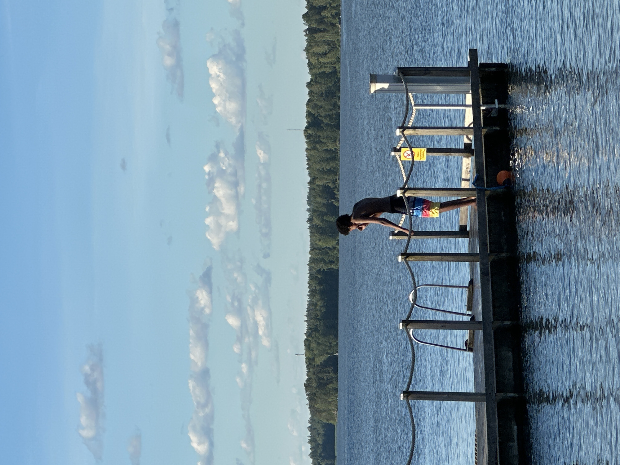 A young person with dark, curly hair stands on a wooden dock, looking down at the water. They are wearing multi-colored swim trunks and appear to be reaching for something in the water. The dock has wooden posts, rope railings, and a set of metal ladders leading into the lake. A yellow warning sign with a "no jumping" symbol is visible on a post. The lake is calm and blue, reflecting the sky and the surrounding green forest. White, fluffy clouds dot the blue sky. The overall scene suggests a warm, sunny day at a natural swimming area.