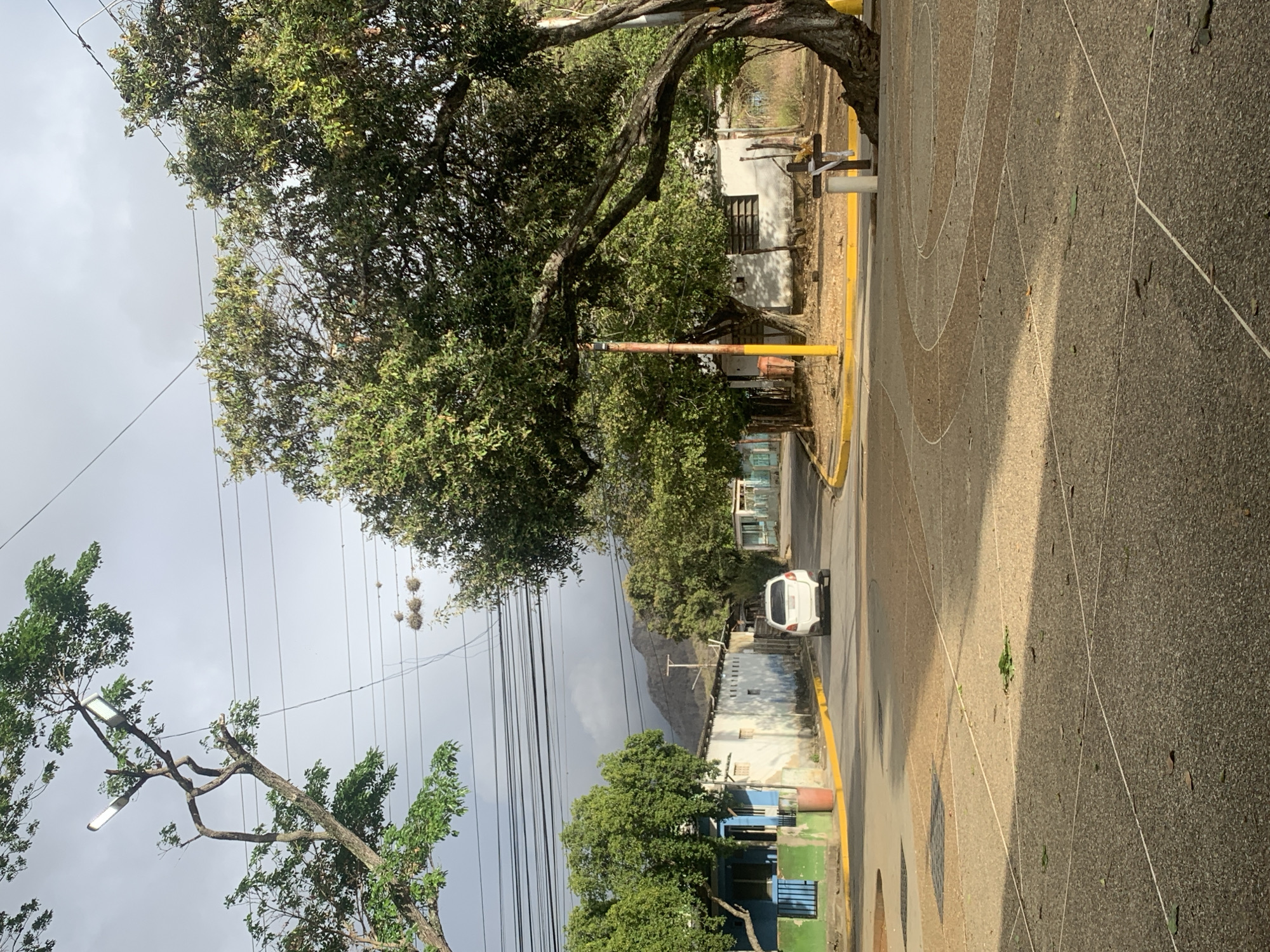 This media file captures a street scene in a residential or semi-residential area of La Tagua, Venezuela, presented as if looking down the street.
In the immediate foreground, a distinctive textured sidewalk occupies the right side of the frame, featuring large, light-colored circular patterns interspersed with straight lines on a darker, gravelly surface.
The midground reveals a paved road, clearly delineated by bright yellow curbs. A small, white car, possibly a hatchback, is visible on the road, heading away from the viewer. The left side of the street is heavily shaded by a dense canopy of lush, green trees with robust trunks and branches. Behind these trees, several simple, light-colored buildings or houses, painted in shades of white, blue, and green, are visible, some featuring barred windows. A tall, yellow pole stands near the curb on the left.
The background is dominated by more green foliage, including a large tree extending towards the upper left. A multitude of dark power lines crisscross the overcast, light-grey sky. Notably, several spherical, spiky, light-brown objects, possibly bird nests or decorative elements, hang from these power lines. In the far distance, a rugged, seemingly dry mountain range rises under the partly cloudy sky.
The scene appears devoid of human activity, suggesting a quiet moment on the street. It is daytime, with shadows indicating the presence of sunlight despite the cloudy conditions. No discernible text is visible within the image.