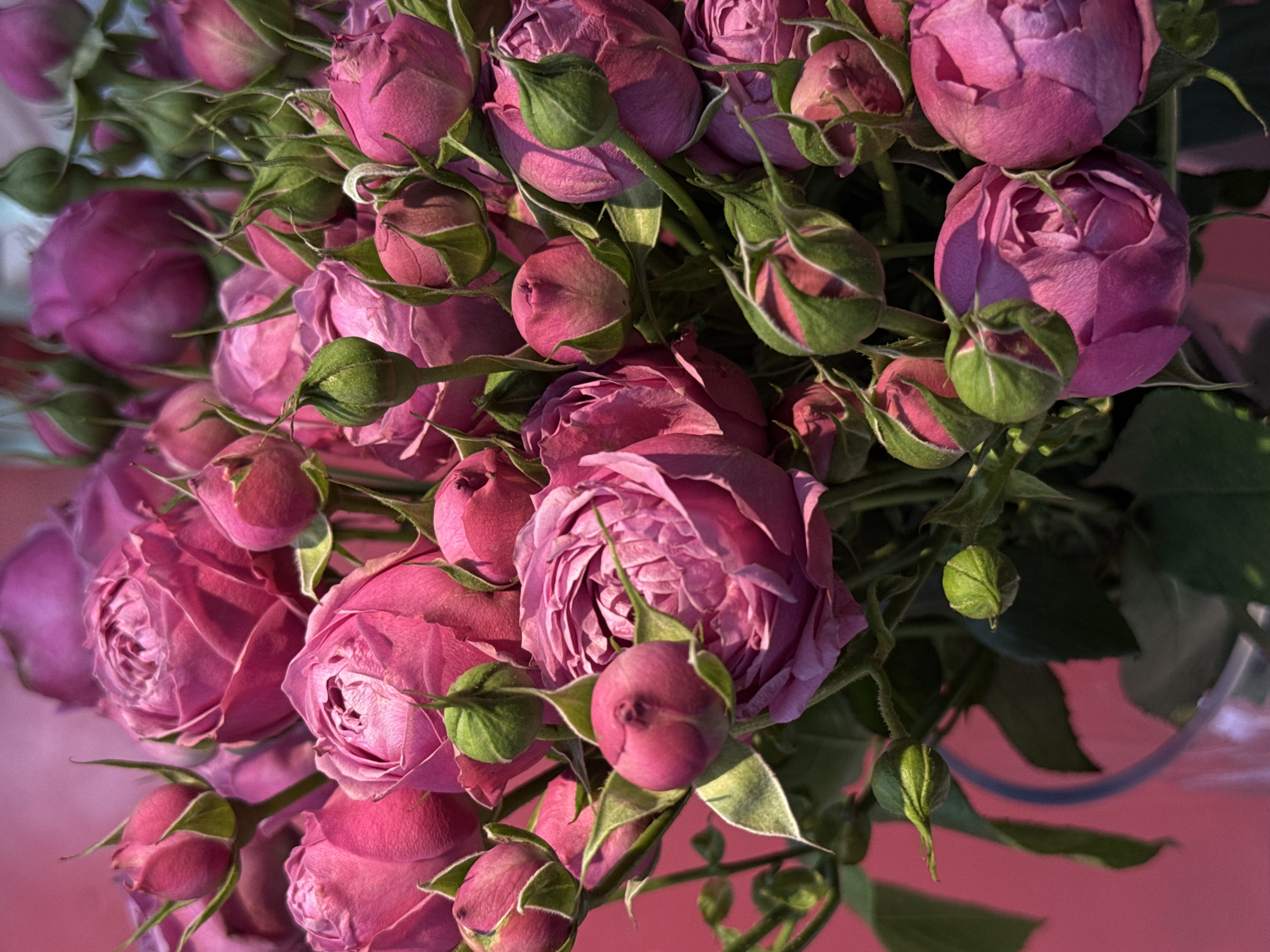 The image shows a bouquet of pink roses and rosebuds with green leaves in a vase. The flowers are clustered together, and the background appears to be a reddish surface. The location is not discernible from the image content.