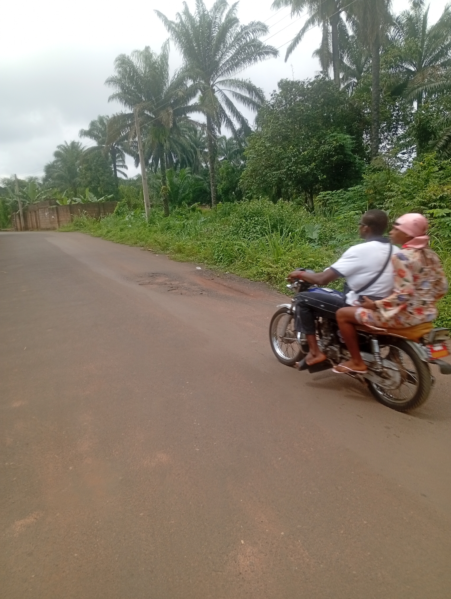 In Akokwa, Nigeria, a man wearing a white shirt and dark pants drives a motorcycle down a dirt road. A woman, wearing a pink headscarf and a floral print dress, rides on the back. The road is bordered by lush green vegetation and tall palm trees, with a brick wall visible in the background. The sky is overcast.
