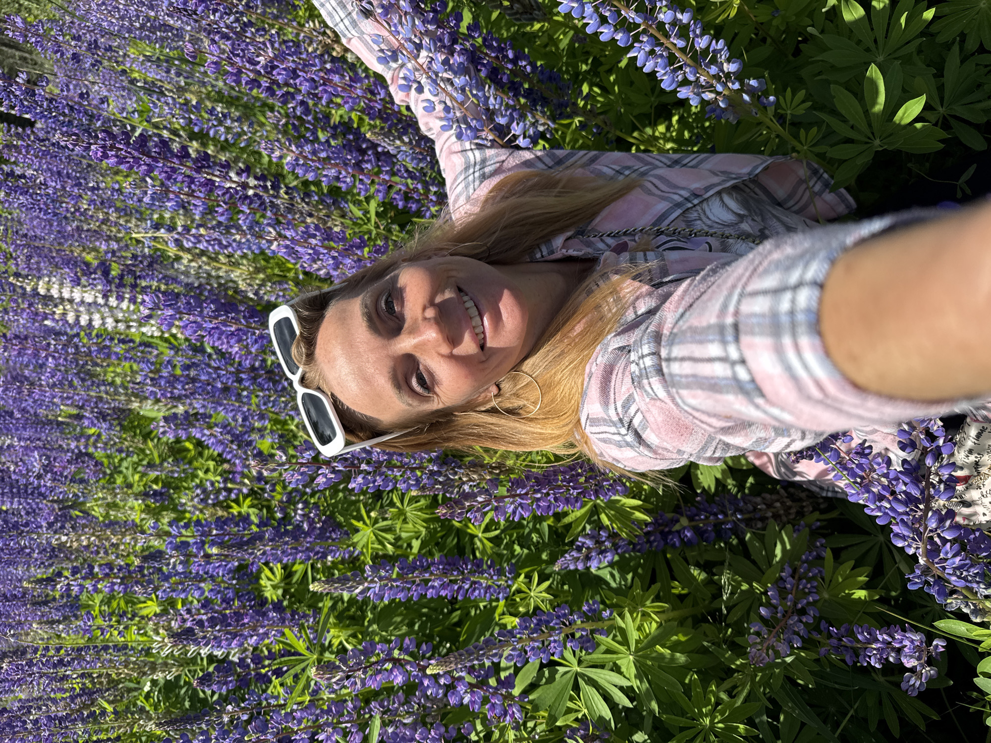 A woman is taking a selfie in a field of purple lupine flowers. She is wearing a pink and white plaid shirt and white sunglasses perched on her head. She has blonde hair and is smiling at the camera. The field is dense with tall purple lupine stalks and green leaves. The lighting suggests it is daytime, likely a sunny day. The location is specified as "Unknown, Russia".