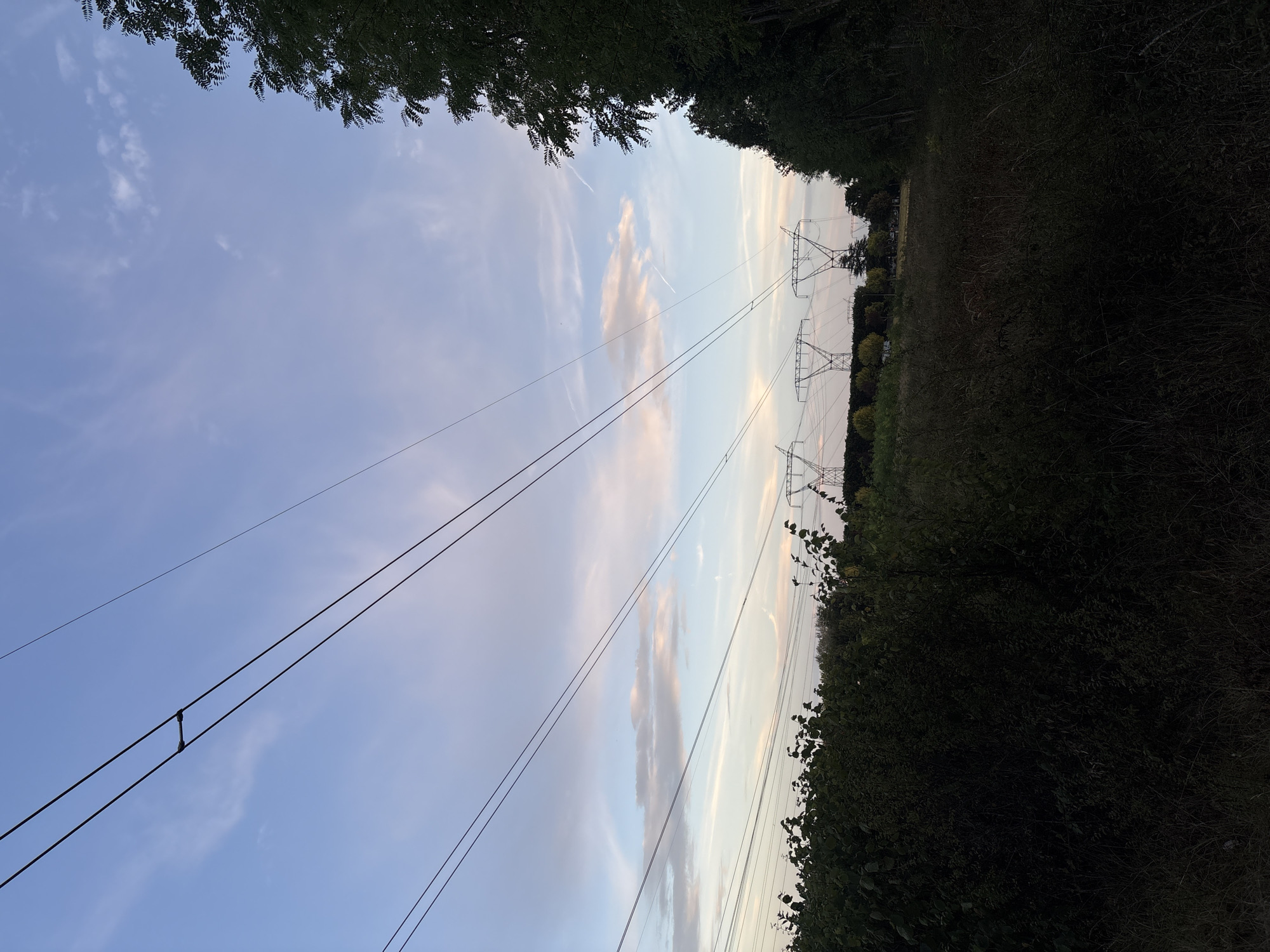 This photograph captures a view of power lines and pylons against a twilight sky in Le Mée-sur-Seine, France. The sky is a gradient of pale blue transitioning to pink and orange hues, with thin wispy clouds scattered across it. Several power lines stretch diagonally across the frame, converging towards the horizon. In the middle ground, three large metal pylons stand tall, supporting the complex network of wires. A dense line of trees borders the right side of the image, their dark green foliage creating a stark contrast with the lighter sky. The foreground is dominated by dark, shadowy bushes and tall grass, suggesting a natural or semi-wild environment. The overall impression is one of a rural or semi-urban landscape at dusk, characterized by the presence of electrical infrastructure and natural elements.
