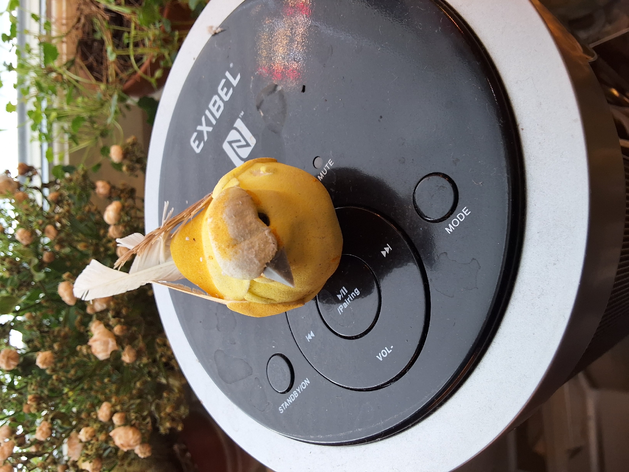 The image shows a decorative yellow bird, possibly a toy or ornament, suspended by thin strings, hanging above a black, circular electronic device with silver trim. The device has several buttons and labels including "STANDBY/ON", "VOL-", "MUTE", "PAIRING", "MODE", and musical note symbols. The brand name "EXIBEL" is visible on the device. The background features out-of-focus greenery and flowers, suggesting an indoor setting near a window. There are no people present, and the scene appears to be a still life composition. There is no indication that this image is located in Arboga, Sweden.