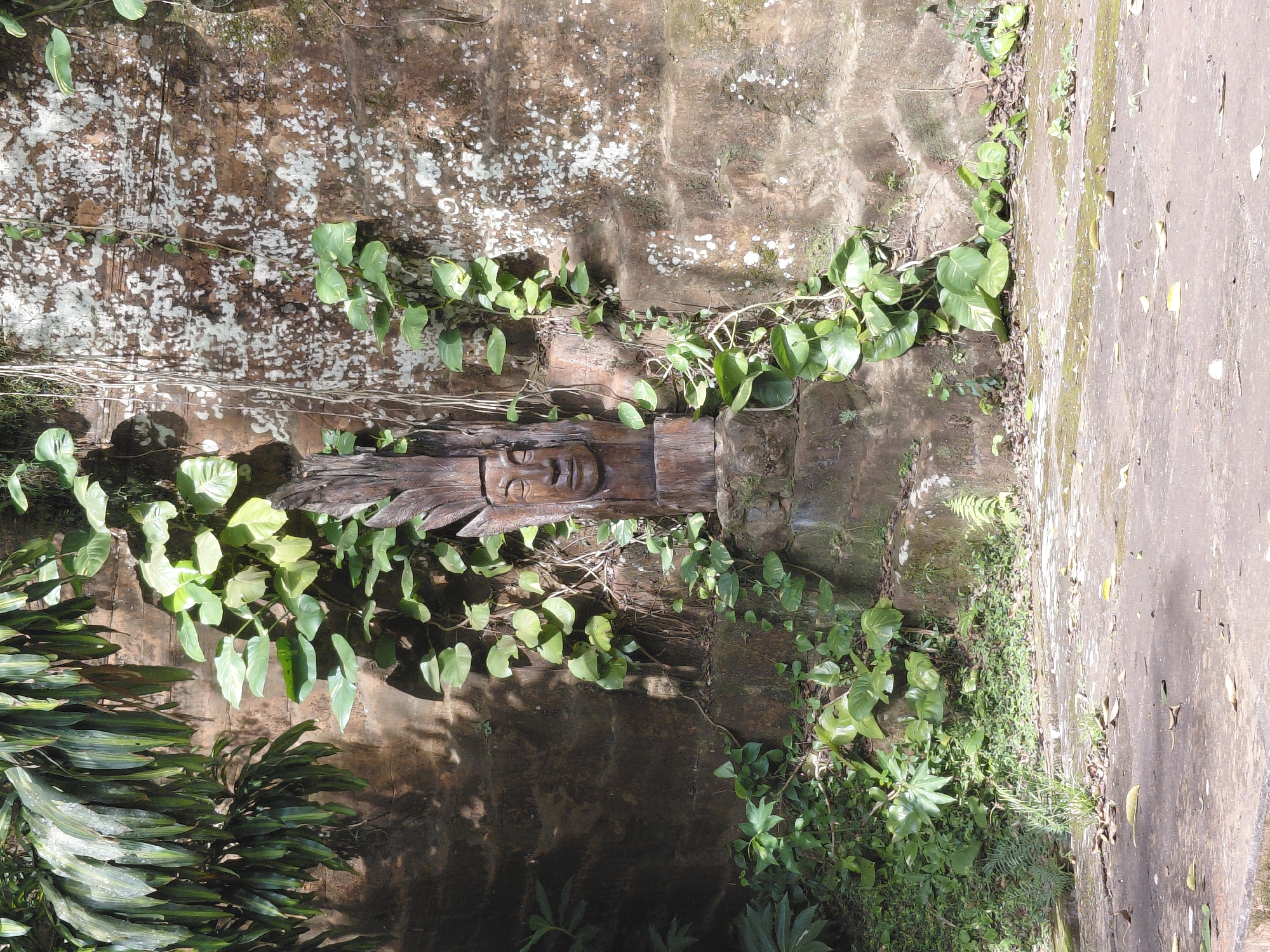 The image depicts a carved wooden face with a headdress, positioned within a stone wall structure overgrown with vines and foliage. The carving is centrally located, with lush green leaves and creeping vines surrounding it and trailing down the rough-textured stone. The wall itself appears old and weathered, with patches of lichen or moss. In the foreground, a paved area with scattered leaves suggests an outdoor setting. The overall impression is one of natural integration with ancient architecture. The location is identified as Trinidad, Paraguay.