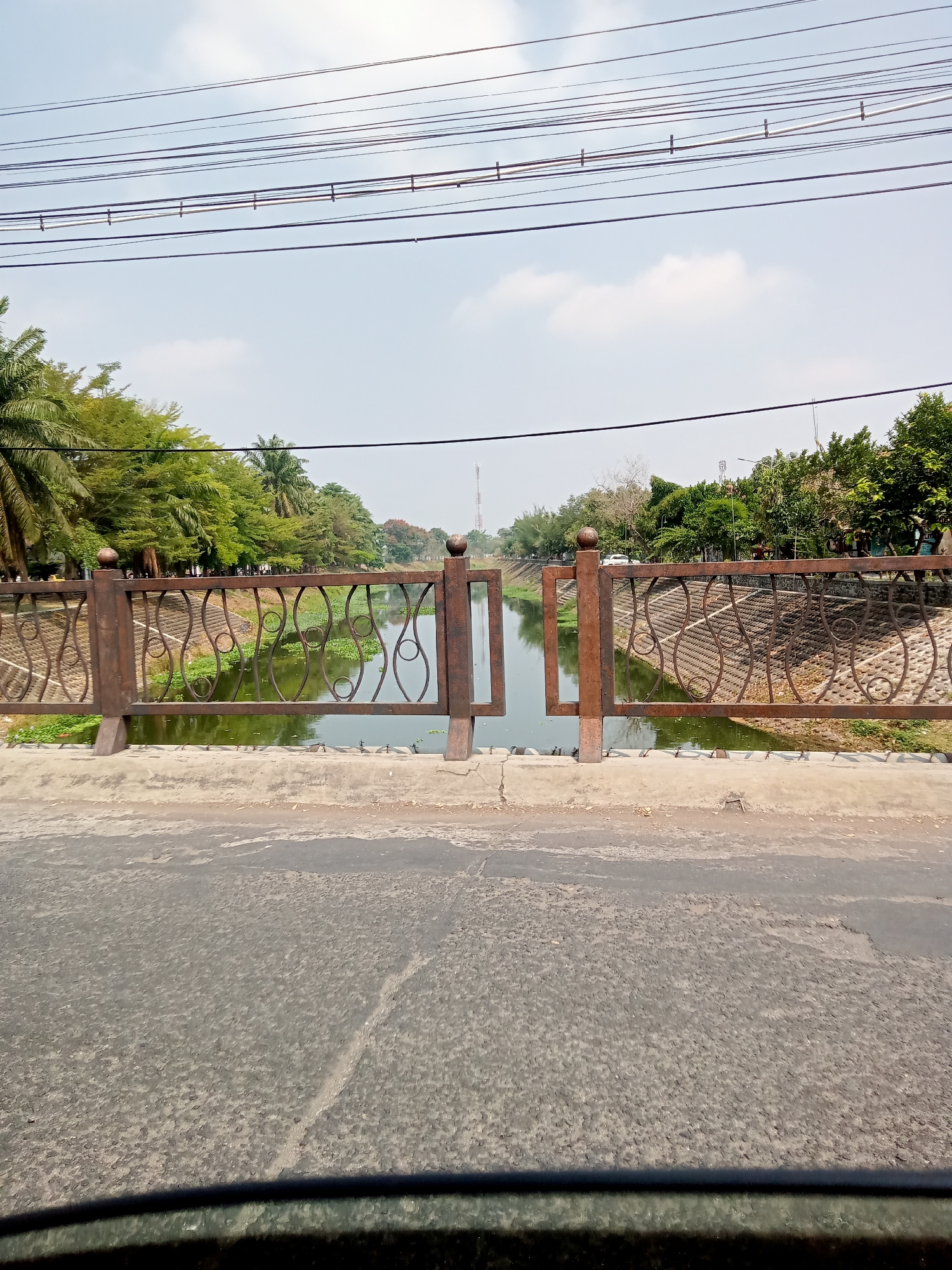 The image depicts a view from a bridge overlooking a canal in Botoran, Indonesia. The canal is lined with lush green trees on both sides, with some palm trees visible among them. The water in the canal appears calm, with some aquatic plants floating on its surface. The bridge railing, made of rusted metal with an ornate, repeating pattern, is prominent in the foreground. Beyond the canal, the landscape consists of more trees and some distant structures, including what appears to be a telecommunications tower. The sky is clear with a few scattered clouds. The road surface on the bridge is visible, showing signs of wear and tear. There are power lines overhead, supported by poles. No people or vehicles are clearly visible in the scene. The overall impression is one of a tranquil urban waterway bordered by nature.