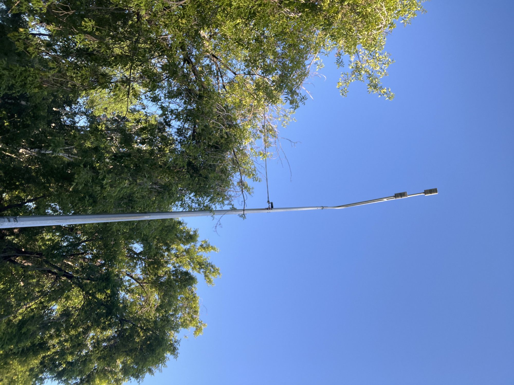 The media file shows a bright, clear blue sky with the upper branches of a green tree on the left side. A long, silver pole extends diagonally across the frame from the bottom left towards the top right, holding a street lamp at its end. The street lamp has two rectangular light fixtures. The scene appears to be outdoors during the day, with bright sunlight illuminating the tree's leaves and casting no visible shadows. The overall impression is one of a peaceful, sunny day. There is no visible text in the image.