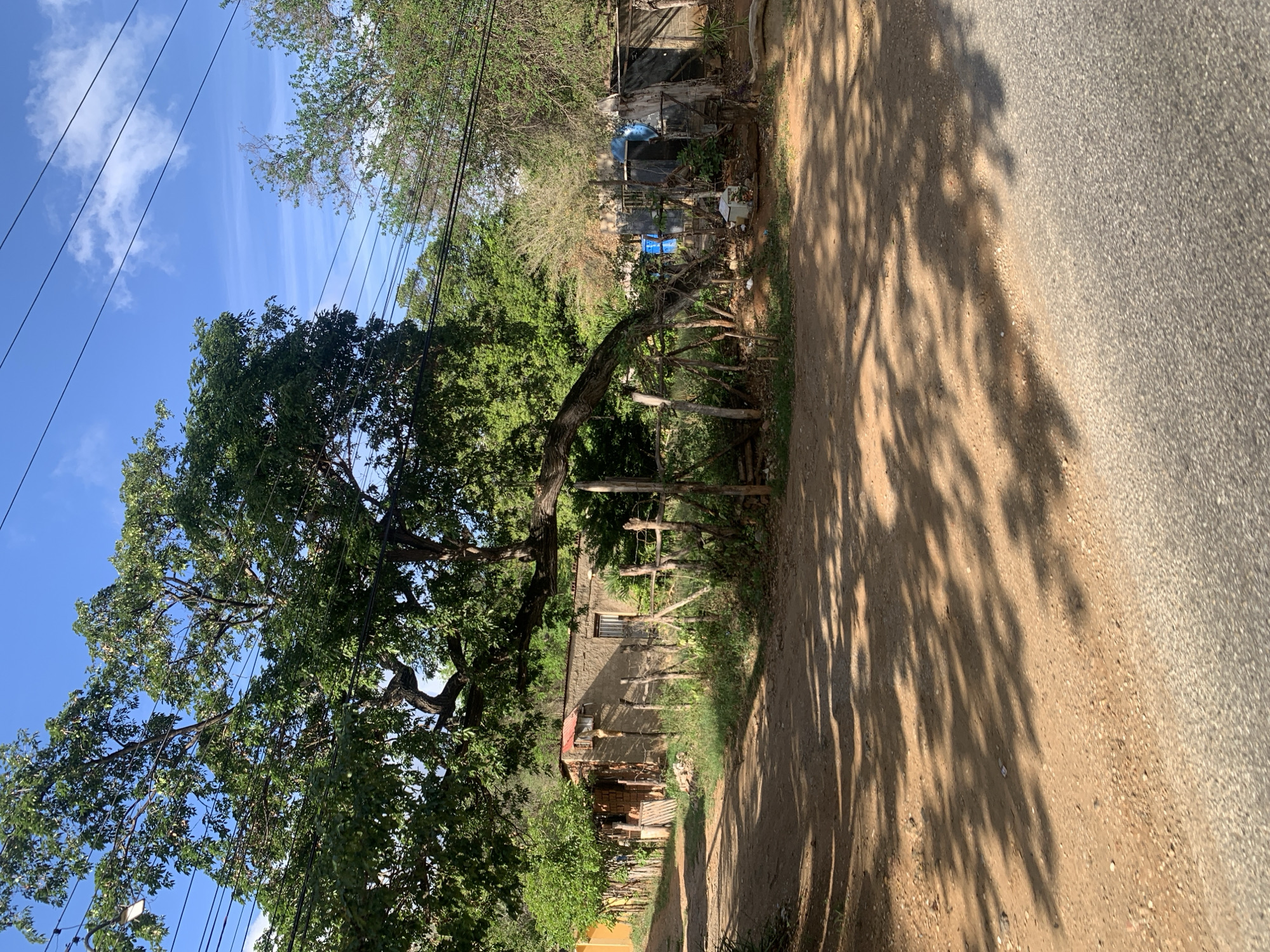 A dirt road curves through a rural setting in Tacarigua, Venezuela. On the right side of the road, a cluster of buildings made of concrete blocks and corrugated metal roofing stands amidst lush green trees. A makeshift fence, constructed from wooden posts and wire, encloses the area. The ground is covered in a mix of dirt and gravel, with shadows from overhead trees dappling the surface. Electrical wires crisscross the bright blue sky, punctuated by scattered white clouds. The scene appears to be a residential area characterized by simple structures and natural vegetation.