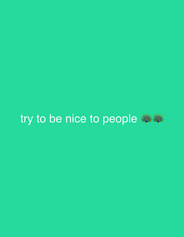 The image displays a digital graphic with a uniform, solid aquamarine green background. Centered horizontally and positioned in the lower-middle section of the frame is the phrase "try to be nice to people" rendered in white, sans-serif text. To the immediate right of the word "people," two identical peacock emojis are present, depicted with fanned, colorful tail feathers. No people, discernible objects, or environmental elements indicating a physical location, specific real-world setting, or geographical context in Jalingo, Nigeria, or elsewhere, are visible within the image content.
