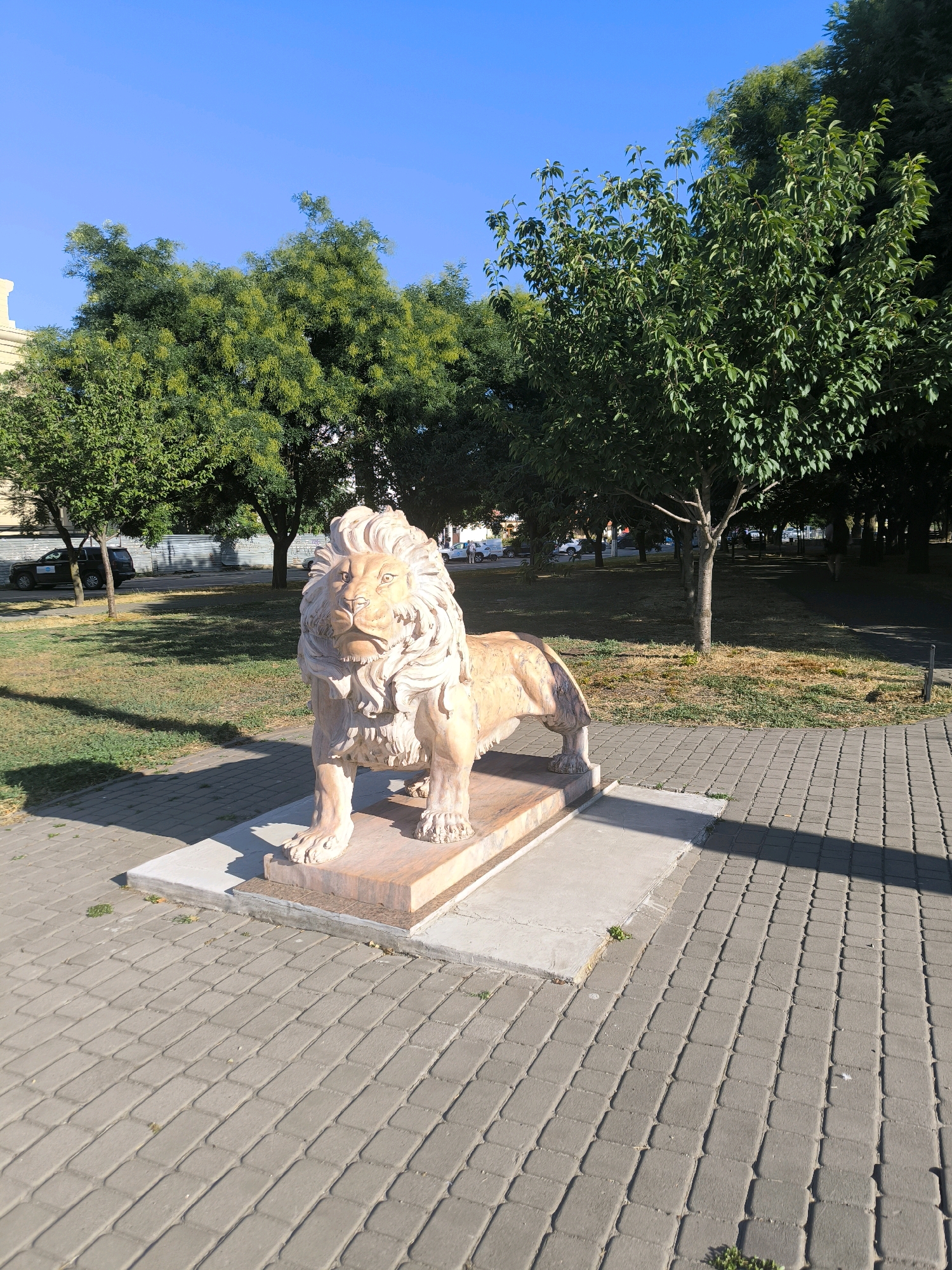 The image shows a stone statue of a lion in a park with trees and a paved walkway. The lion statue is light brown and stands on a stone pedestal. The walkway is made of gray rectangular pavers. In the background, there are green trees and a clear blue sky. There are also some cars and buildings visible in the distance. The scene appears to be a sunny day. This statue is located in Mykolaiv, Ukraine.