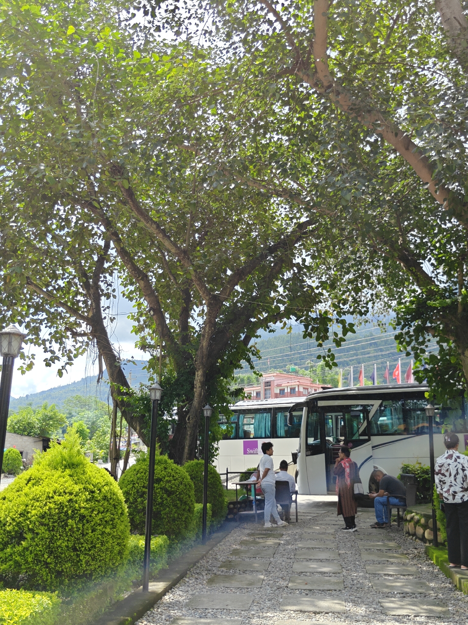 A group of people are gathered near a bus in a semi-outdoor setting, likely in Ichchhakamana, Nepal. The scene is dominated by a large tree with lush green foliage, casting shade over the area. Several individuals are standing and sitting around a white bus with its door open. One person in a brown outfit stands near the bus door, while another person in a white shirt and blue jeans stands to the left, facing away from the camera. Two individuals are seated on chairs to the left of the bus entrance, and one person is seated on a bench to the right, looking at a mobile phone. A woman with a patterned shirt stands on the right side of the frame, facing the bus. In the foreground, a gravel pathway is interspersed with flat stones, leading towards the bus. The pathway is lined with neatly trimmed green bushes and lampposts. In the background, a building with multiple windows and a reddish-brown roof is visible, along with a row of flags. The landscape beyond features rolling hills covered in greenery and a cloudy sky.