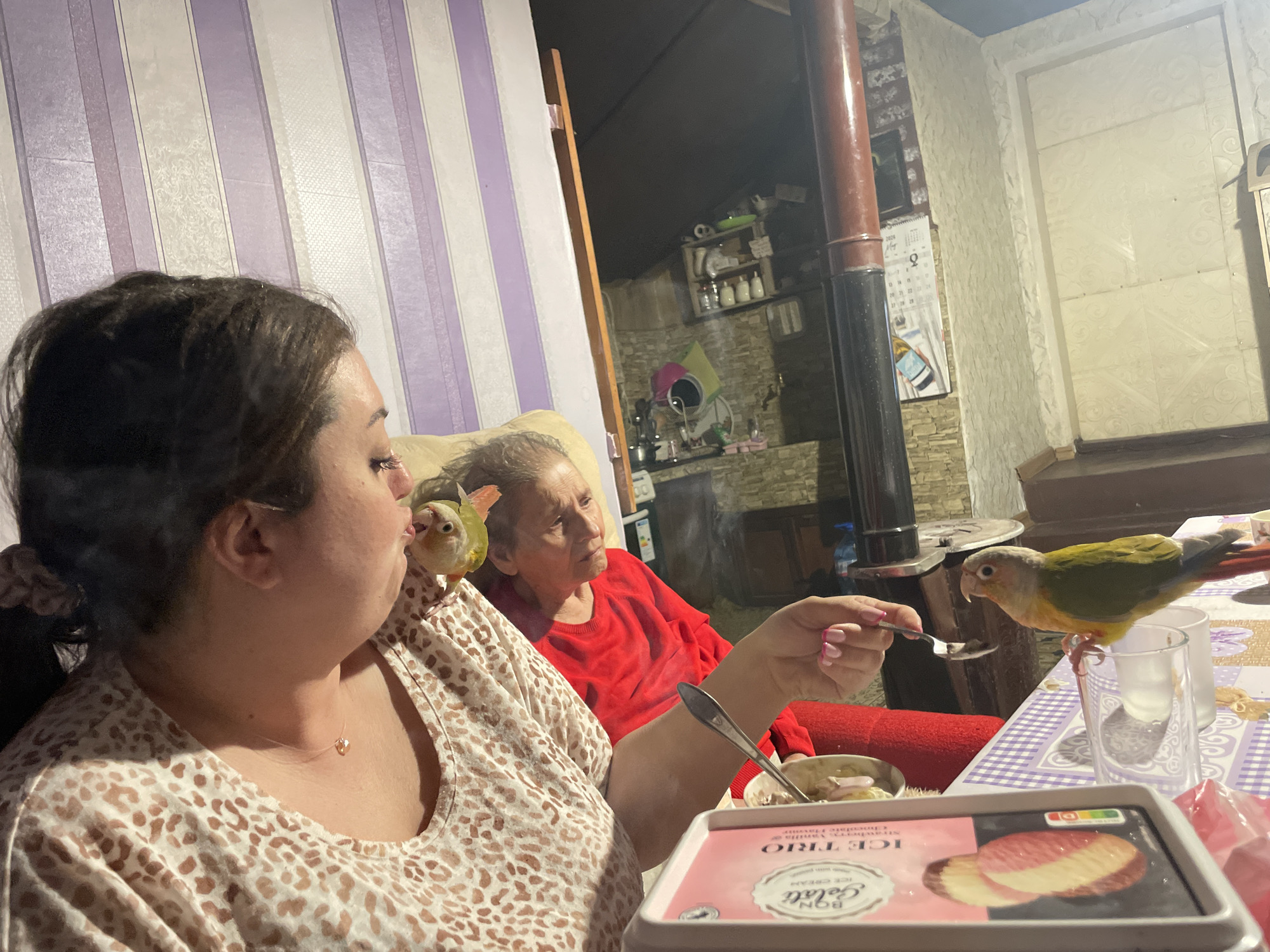 The image shows two women, one younger and one older, seated at a table in what appears to be the interior of a home. A younger woman is in the foreground with a bird perched on her shoulder. She holds a spoon out to another bird perched on a glass on the table. An ice cream container is visible on the table, along with other items that suggest a casual dining setting. In the background, the older woman is seated, seemingly watching the interaction with the birds. The location is indicated as Aidemir, Bulgaria. A stovepipe and traditional home interior elements are visible in the background.