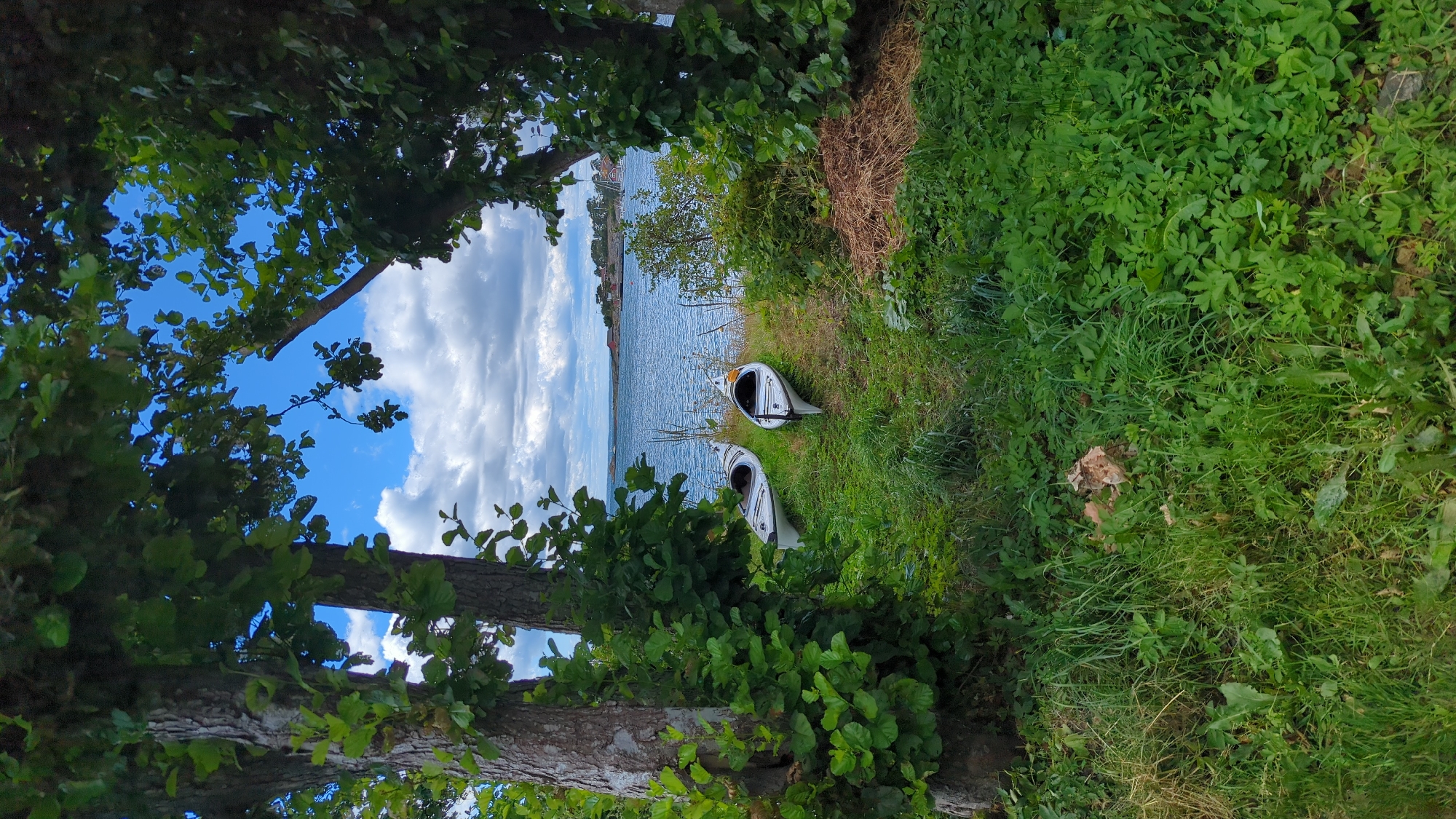 Two white kayaks rest on a grassy bank near the shore of a body of water, framed by the trunks and branches of trees. The water is calm and blue, with a cloudy sky overhead. In the distance, a peninsula with houses and trees can be seen. The scene appears to be a natural area in Larkollen, Norway, likely a coastal location given the presence of kayaks and the view of the water.