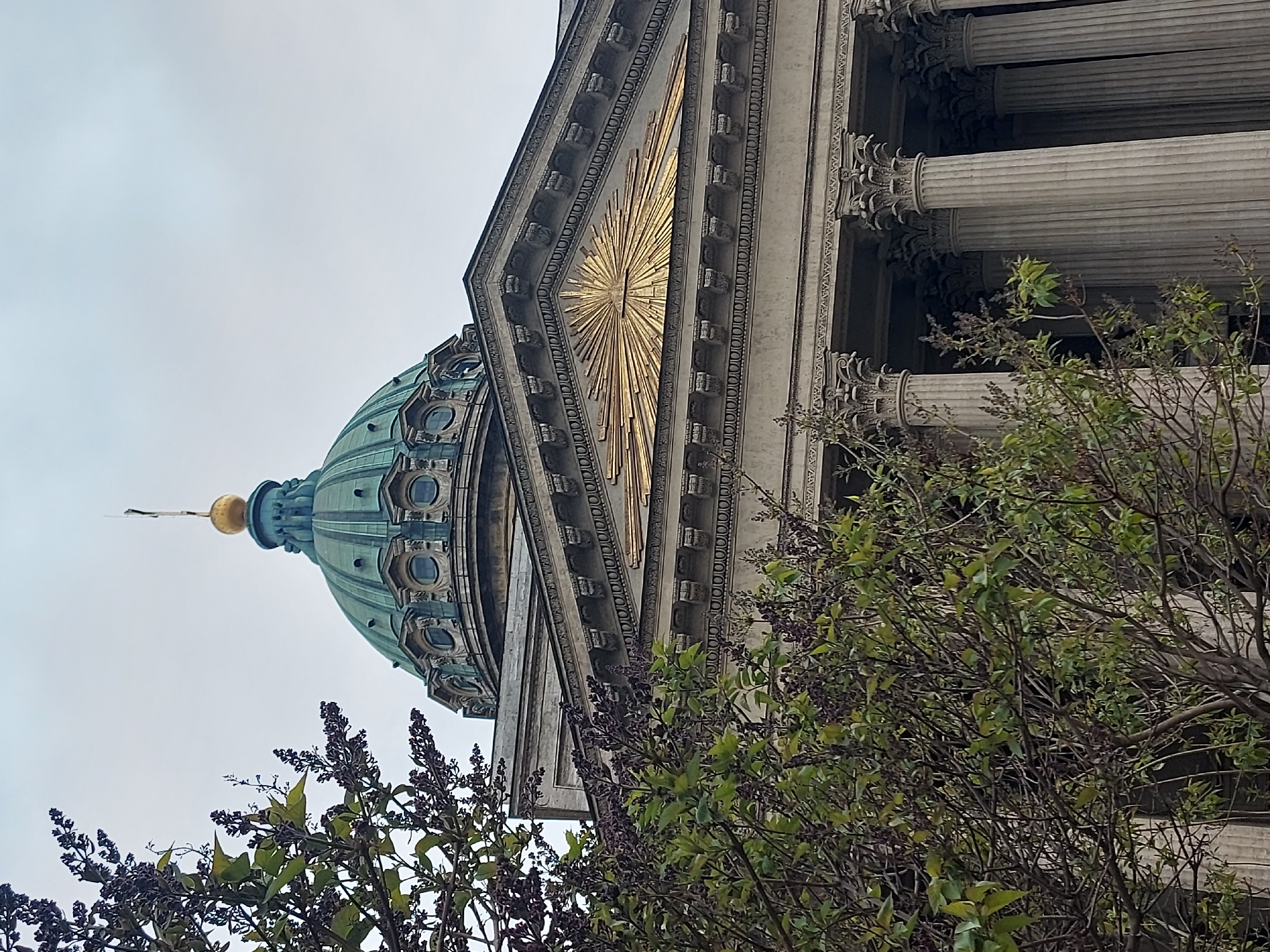 The image shows a partial view of Kazan Cathedral in Saint Petersburg, Russia, framed by foliage in the foreground. The green dome with a golden spire is visible on the left, adjacent to the ornate facade featuring a gold sunburst motif and classical columns. The angle is a low-angle shot looking upwards, with an overcast sky in the background. The foliage consists of a bush or small tree with green leaves and dark purple flower buds, indicating a spring season.