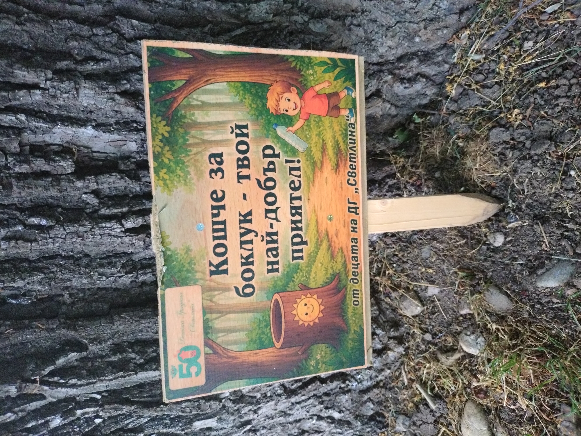 The image shows a sign placed near a tree, likely in a park or natural area. The sign is titled "Кошче за боклук - твой най-добър приятел!" in Bulgarian, which translates to "Trash can - your best friend!". The sign depicts a cartoon-style illustration of a young boy throwing a plastic bottle into a tree trunk that functions as a trash receptacle. The sign also includes the text "от децата на ДГ „Светлина"", which translates to "from the children of kindergarten 'Светлина'". A sticker with the number "50" is visible on the lower left corner of the sign. The sign is mounted on a wooden stake. The tree bark is visible in the background to the left, and the ground with some vegetation and small stones is visible to the right. Based on the kindergarten's name and available information, this scene is likely located in the city of Stara Zagora, Bulgaria.