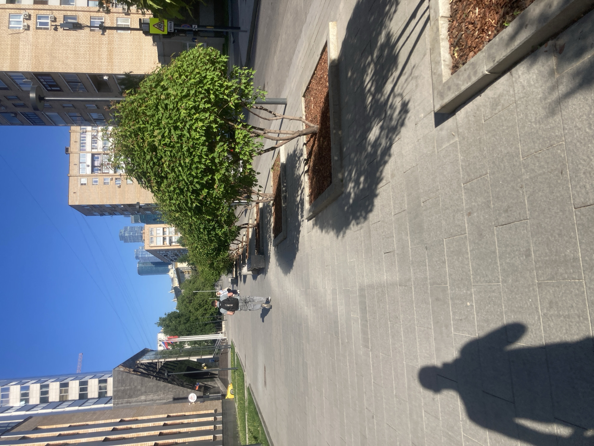 The image depicts a wide, paved pedestrian walkway in Moscow, Russia, lined with small trees planted in rectangular beds. The walkway is bordered by buildings of varying heights and architectural styles. In the distance, skyscrapers can be seen. A person is walking along the walkway, and a shadow of a person is cast on the pavement. The sky is clear and blue. Flags are visible in the distance. There is also street furniture, such as benches, along the walkway.