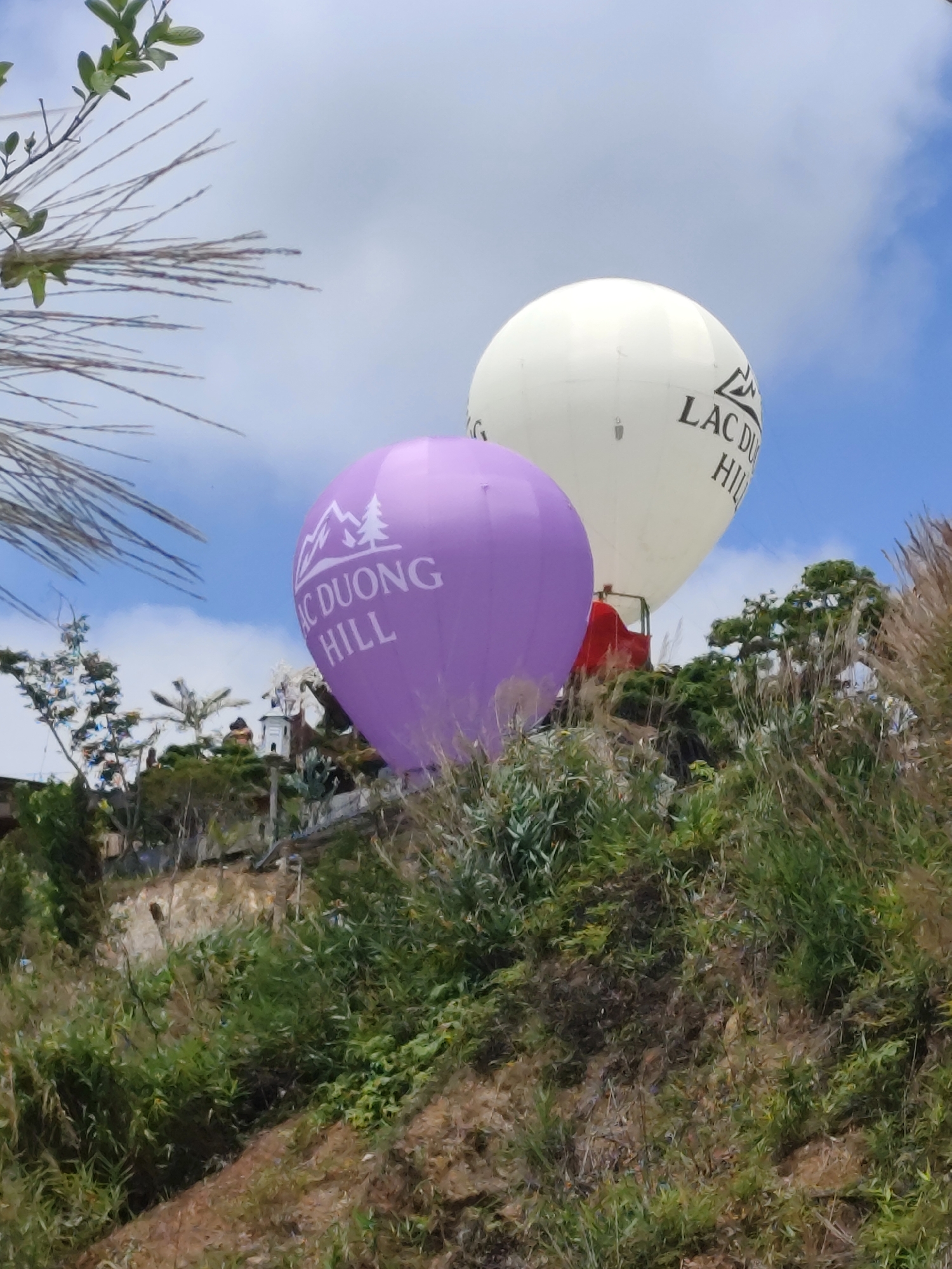 Two tethered hot air balloons, one purple and one white, are positioned on an elevated site in Lạc Dương, Vietnam. The purple balloon displays a logo featuring a mountain and trees, along with the text "Lac Duong Hill". The white balloon also bears the same "Lac Duong Hill" text, along with a logo. The balloons are tethered above a landscape featuring lush green vegetation and a visible terraced structure with a small building. The sky is partly cloudy. The view is partially obscured by grass in the foreground.