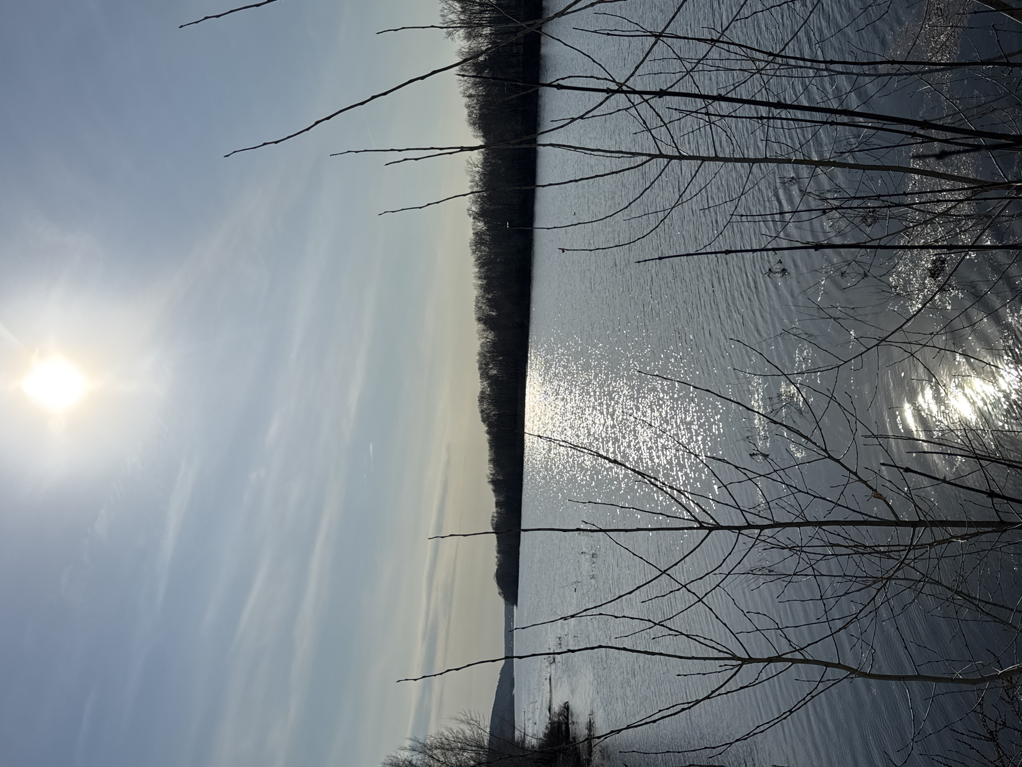 The image depicts a body of water, possibly a river or lake, with trees lining one side. The water reflects the sunlight, creating a shimmering effect. Bare tree branches are visible in the foreground. The sky is light blue with some clouds, and the sun is shining brightly. The location is potentially near or in Chaikovsky, Russia.