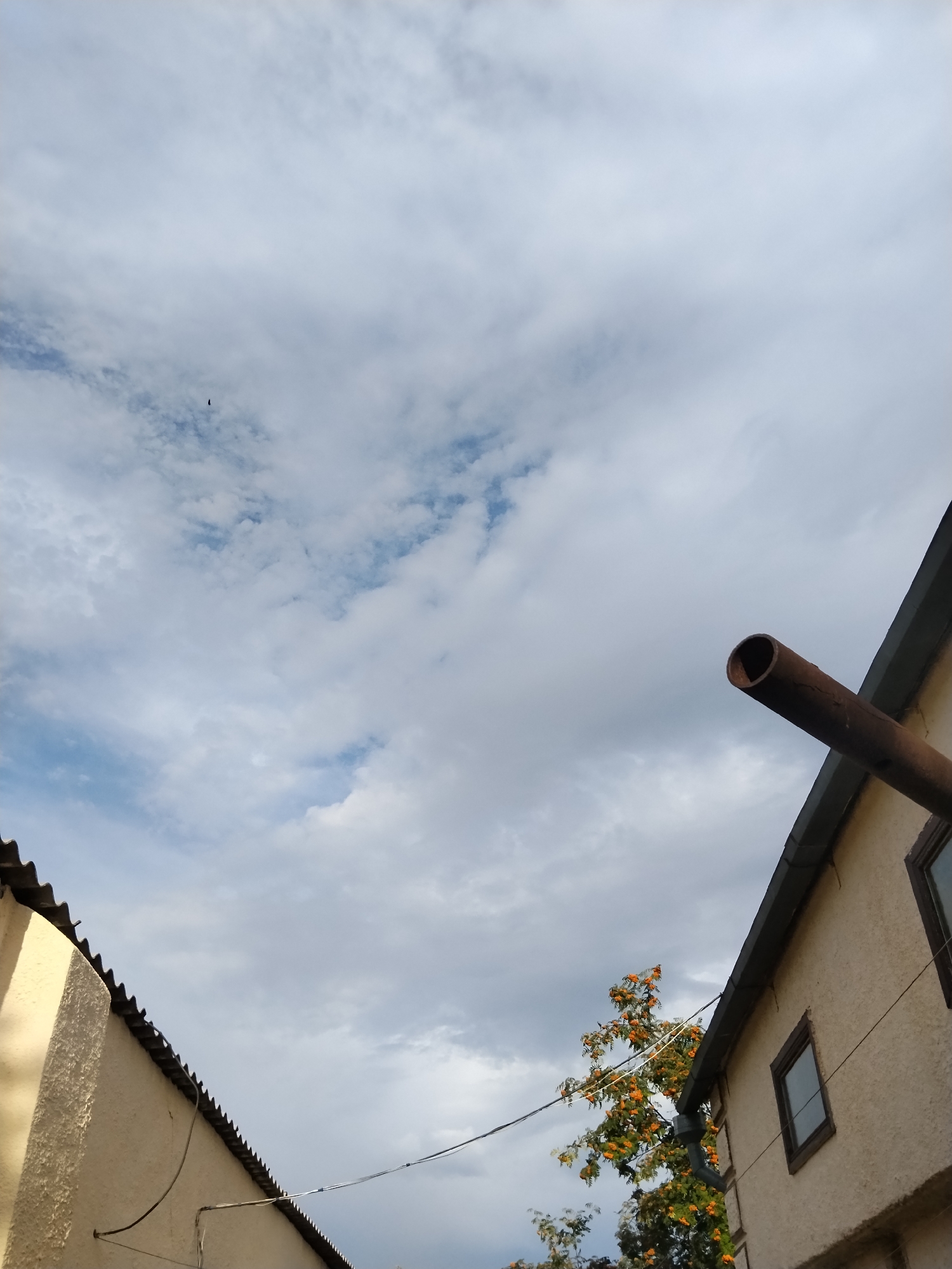 The image depicts an outdoor scene with a cloudy sky. In the foreground, two buildings are visible, angled towards each other from opposite sides of the frame. The building on the left has a rough, light-colored textured wall and a dark, corrugated roofline. The building on the right has a similar light-colored textured wall and a dark roofline, with a visible window and a large, rusty pipe extending from the upper section of the building and pointing upwards and to the left. Between the buildings, a tree with clusters of orange berries is partially visible, and electrical wires stretch across the frame. A small, dark object, possibly a bird, is visible in the upper left quadrant of the sky. The overall scene suggests an urban or semi-urban setting in Kokshetau, Kazakhstan, with overcast weather conditions.