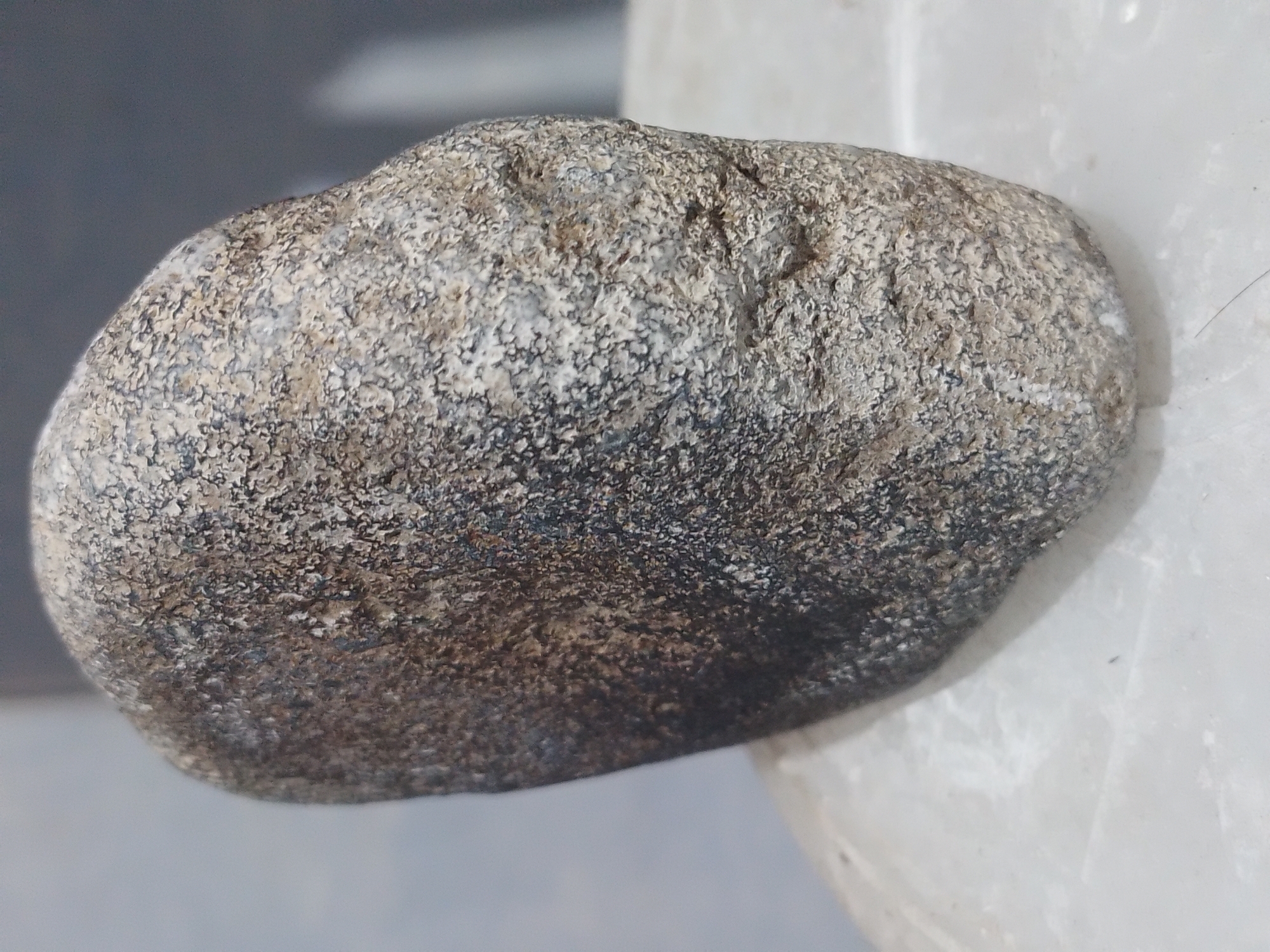 A close-up, shallow depth of field, medium shot captures a small, roughly textured, gray and brown speckled stone object. The stone is positioned on a white, smooth surface, possibly marble or polished stone, which occupies the lower half of the frame. The stone itself is rounded and appears to be a single piece, with some darker markings and a slightly uneven surface. The background is blurred, showing a gradient of light gray to darker gray, suggesting an indoor setting with diffused lighting. There are no people, animals, or other discernible objects present in the scene. No specific location in Batu, Indonesia, can be identified from the visual information provided.