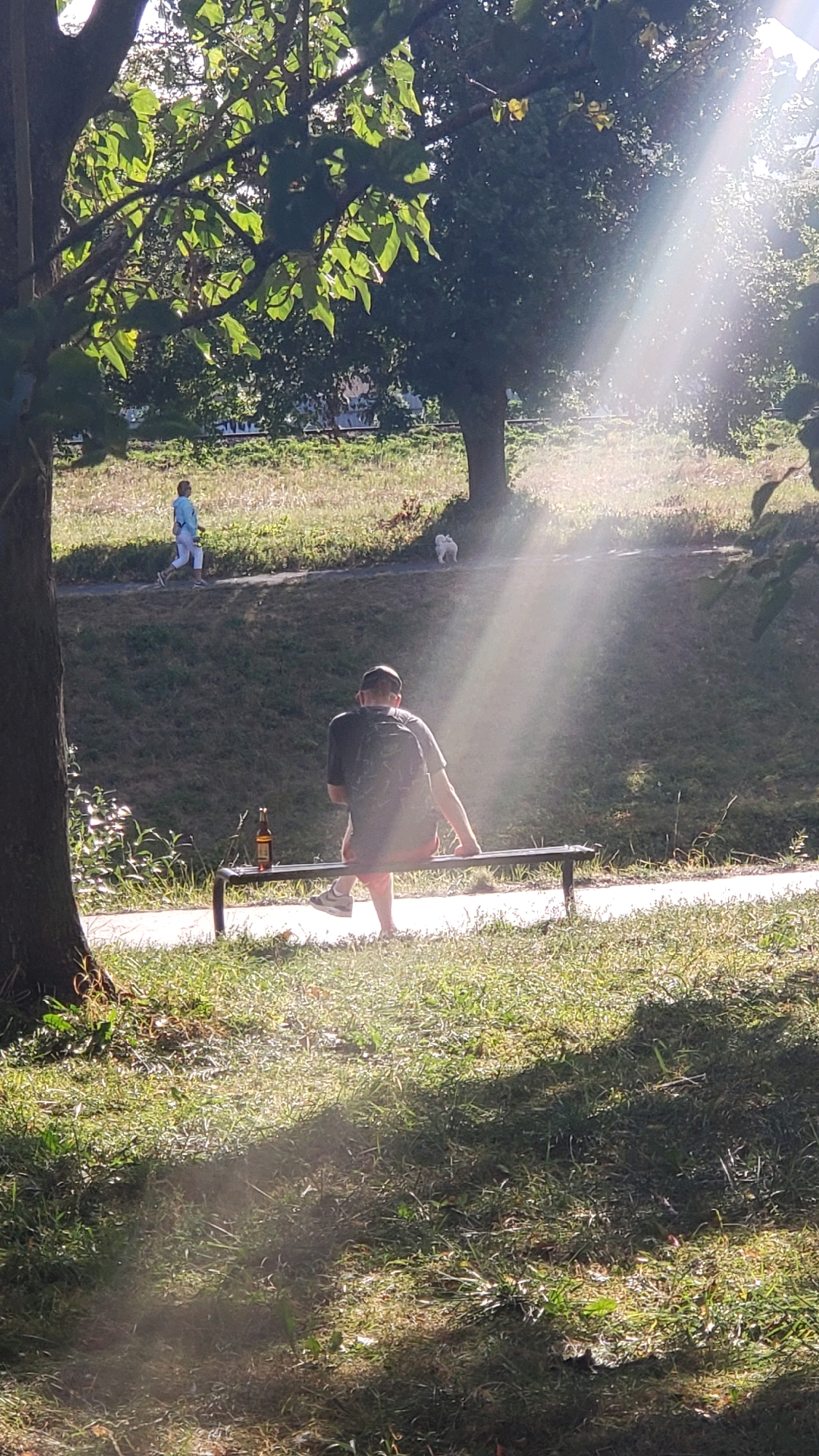The image shows a park scene bathed in sunlight, with strong light rays cutting through the atmosphere. In the foreground, a person sits on a park bench, facing away from the camera, wearing a dark t-shirt with a backpack and light-colored shorts. A bottle stands upright on the bench next to the person. In the middle ground, a person in a light blue top and white pants walks along a paved path, accompanied by a small white dog. The background consists of a grassy slope with trees. The park appears to be located in Prešov, Slovakia, suggesting a setting within the city's green spaces.