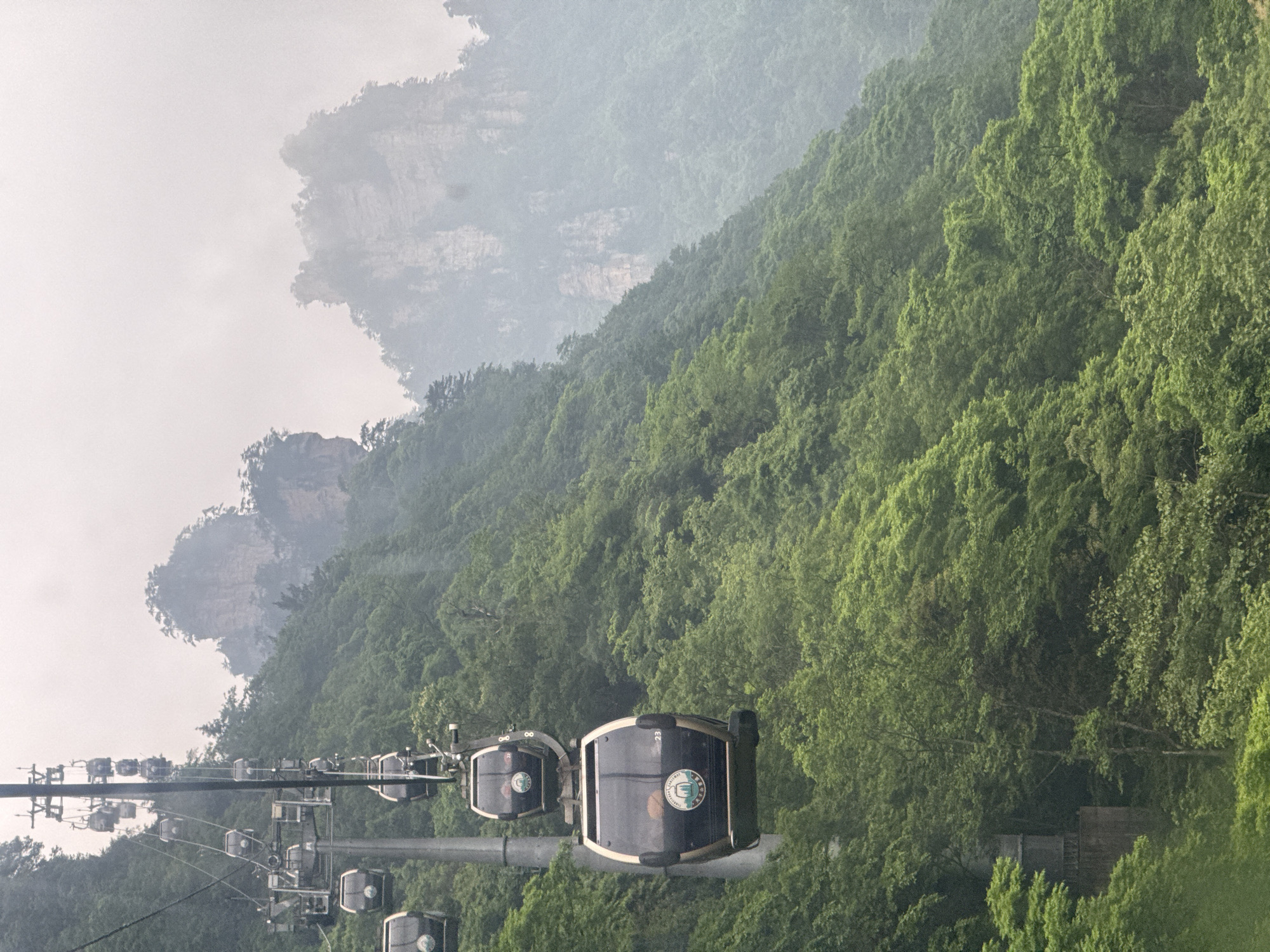 The image shows a row of cable cars ascending through a dense, green forest. In the background, towering rock formations are partially obscured by mist or clouds. The cable cars are black with a white trim and appear to have a logo on them. The location is the city of Wulingyuan, China.