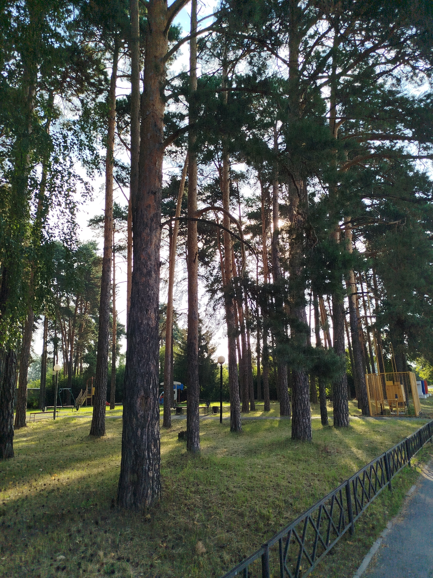 The image depicts a park area with tall pine trees and a grassy lawn. The sun is shining through the trees, creating dappled light and shadows on the ground. In the background, there is a playground with swings and a yellow structure. A black metal fence runs along the right side of the image, bordering a paved path. The scene appears to be a peaceful outdoor space, possibly within the city of Zavodoukovsk, Russia, given the provided context. There are no people visible in the image, and no actions or interactions are taking place. The environment is natural, with a focus on the trees and vegetation.