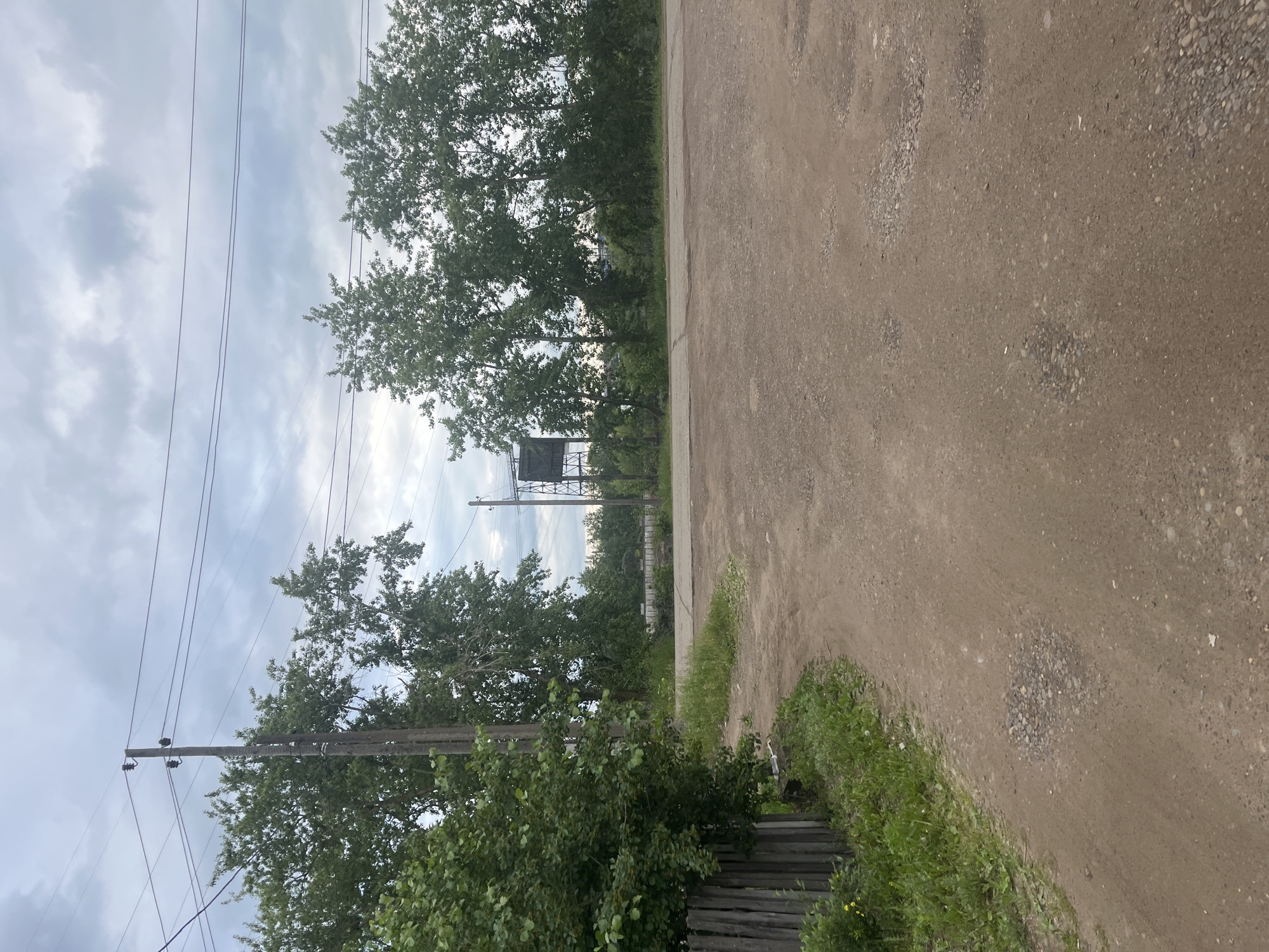 This image depicts an unpaved road junction or area within the city of Chaikovsky, Russia, under an overcast sky. The ground in the foreground and mid-ground is a light brown dirt and gravel surface, exhibiting multiple irregular depressions filled with small stones. A narrower dirt path curves from the lower left foreground, bordered by a weathered, grey wooden fence and a strip of green grass with small yellow flowers, before merging with the wider dirt area.
In the mid-ground, a line of dense green deciduous trees spans horizontally. Two dark wooden utility poles with multiple black electrical wires and ceramic insulators are prominently positioned on the left side, extending into the upper portion of the frame. Further to the right and slightly behind the trees, a tall, dark metal structure with a rectangular top and a lattice-like base stands. A section of a lighter grey, possibly concrete or compacted surface, crosses the dirt road horizontally in the mid-distance, before more trees become visible in the background. No people or animals are present.